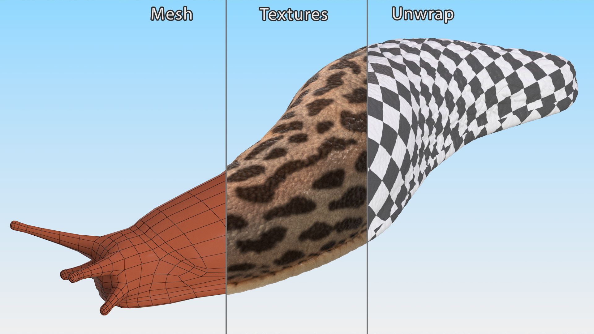 3D Great Grey Slug Lying