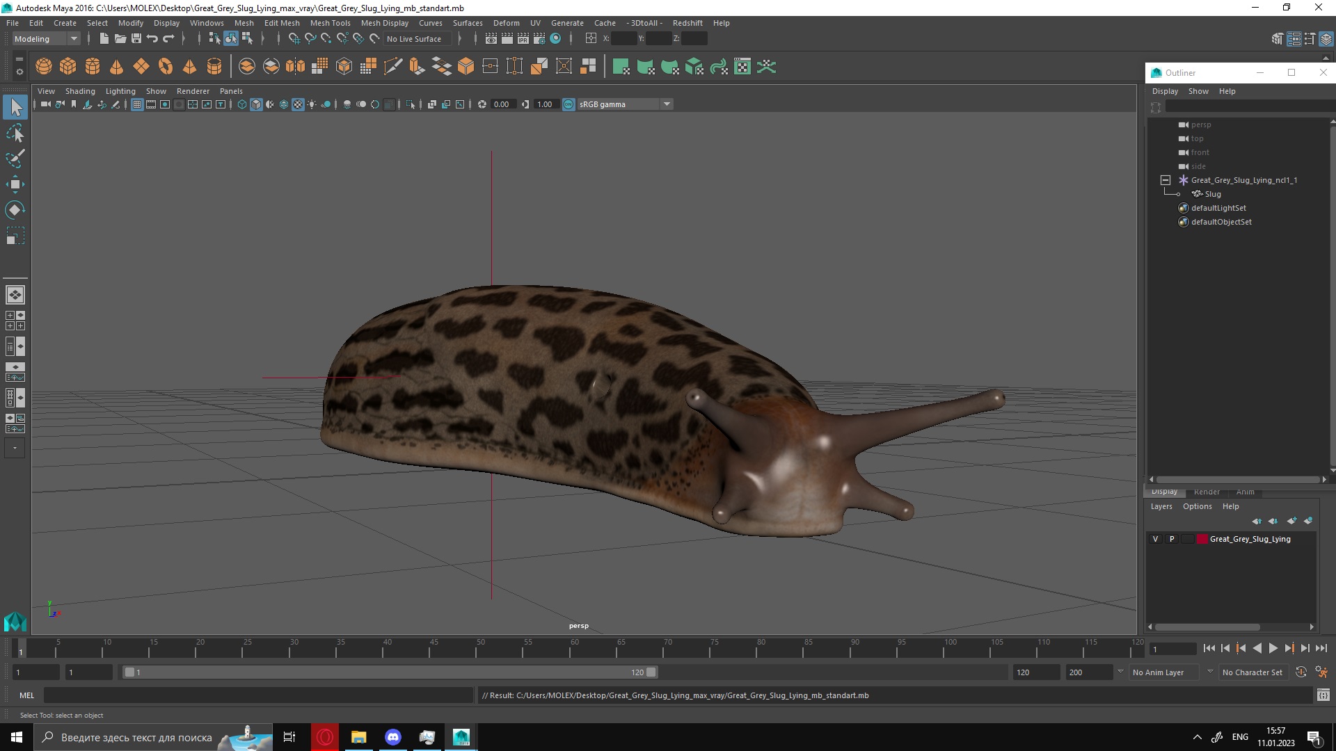 3D Great Grey Slug Lying