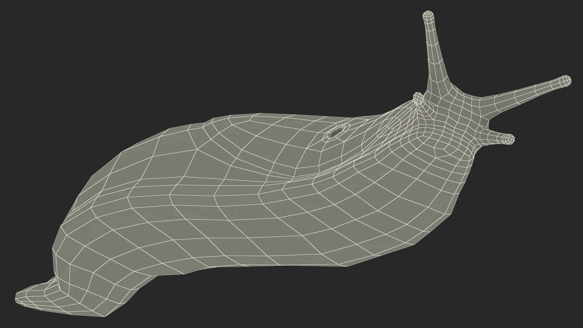 3D Great Grey Slug Lying
