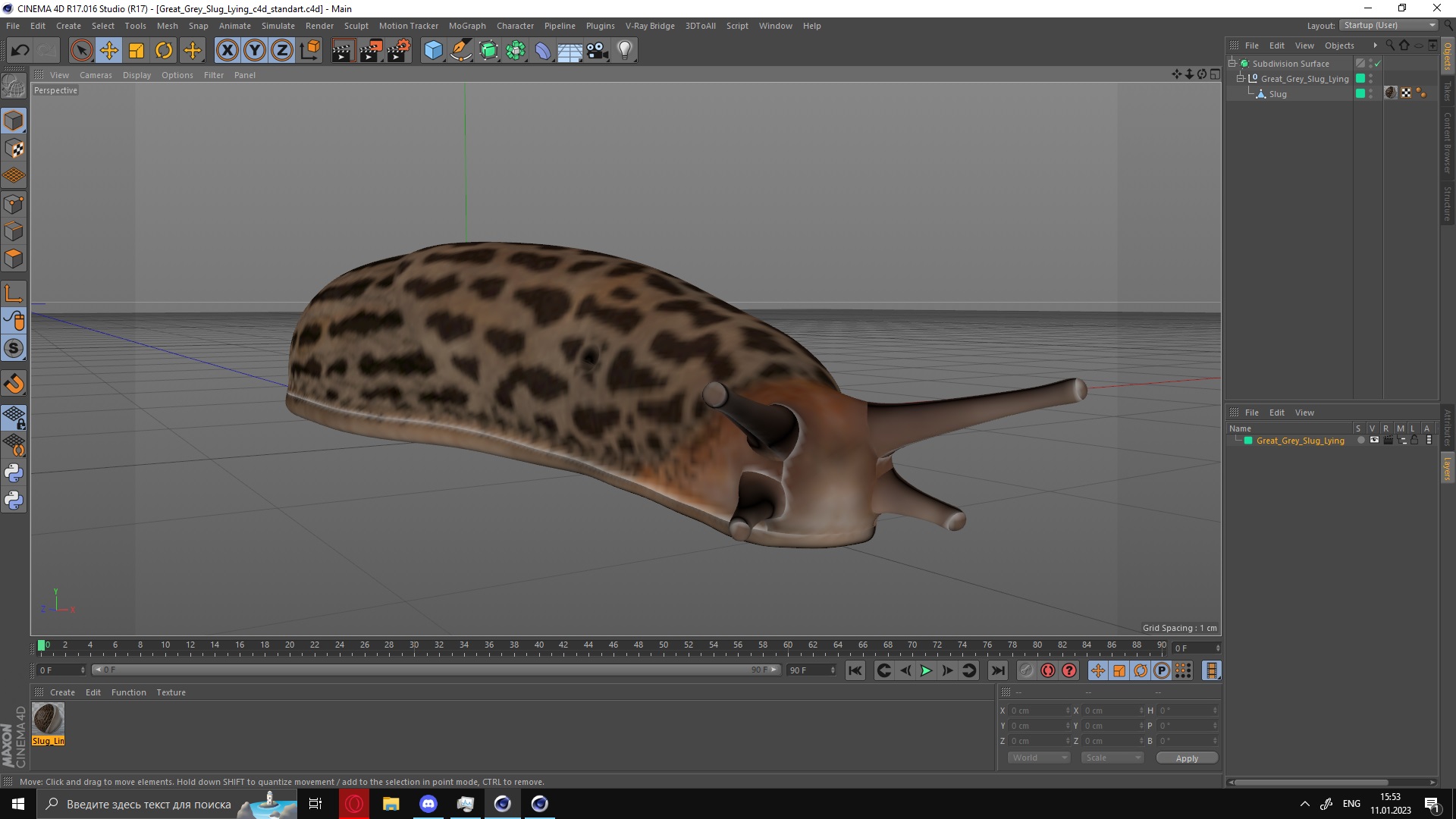3D Great Grey Slug Lying