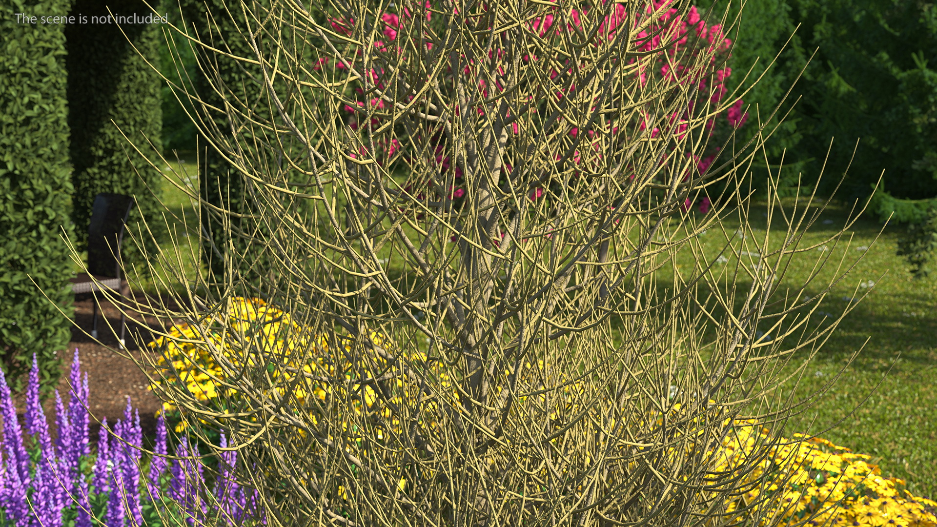 3D Laurel Bark Tree