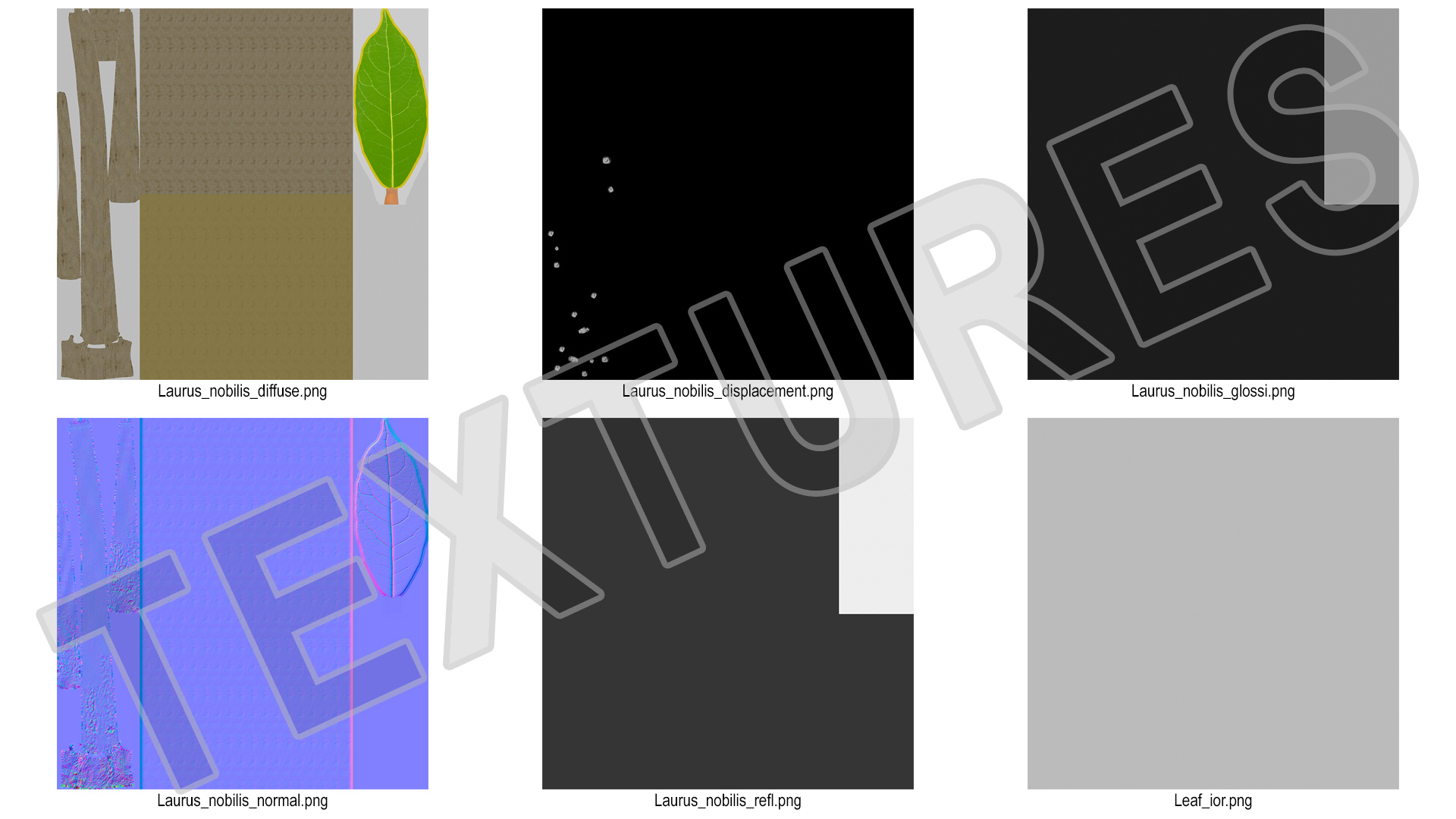 3D Laurel Bark Tree