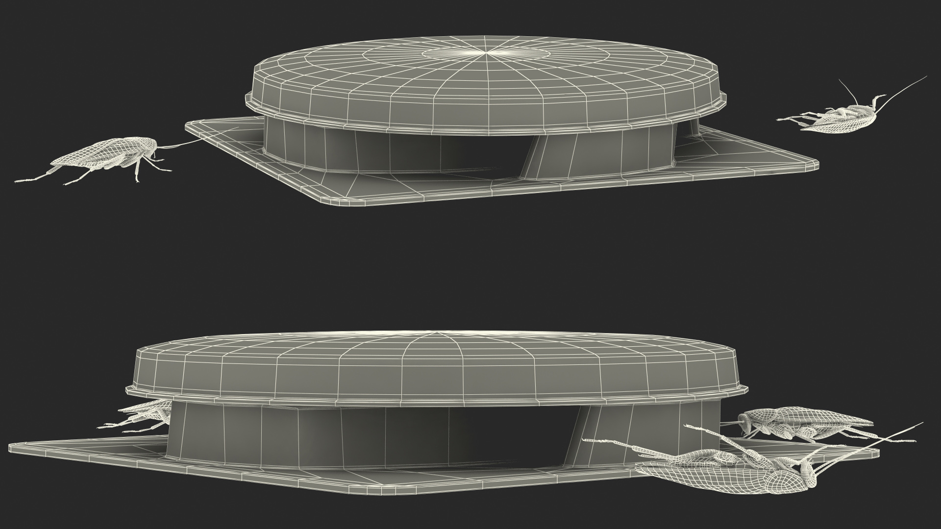 Bait Station With Cockroaches 3D model