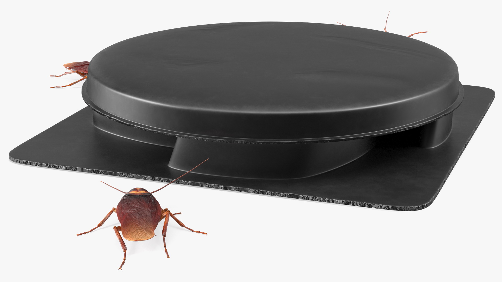 Bait Station With Cockroaches 3D model