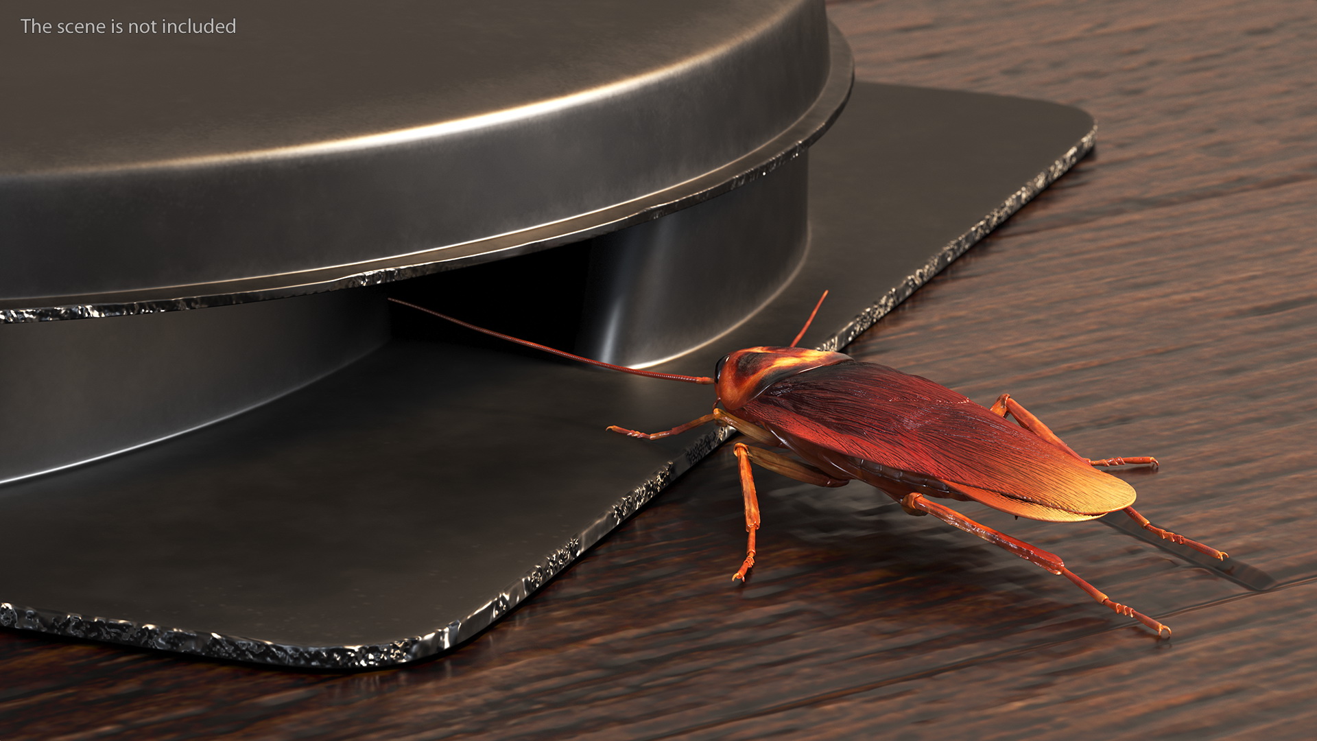 Bait Station With Cockroaches 3D model