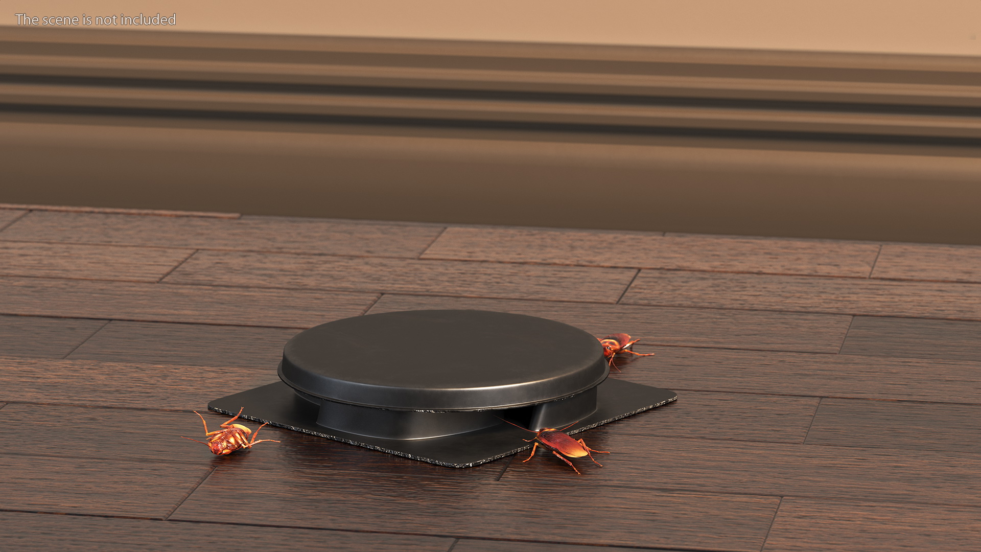 Bait Station With Cockroaches 3D model