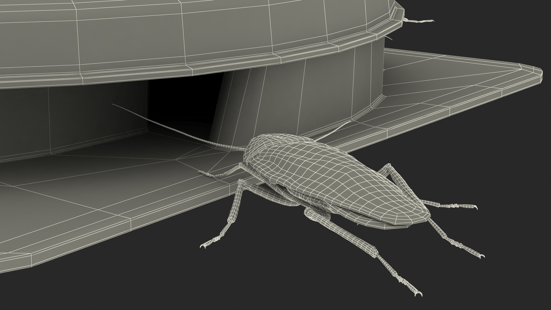 Bait Station With Cockroaches 3D model