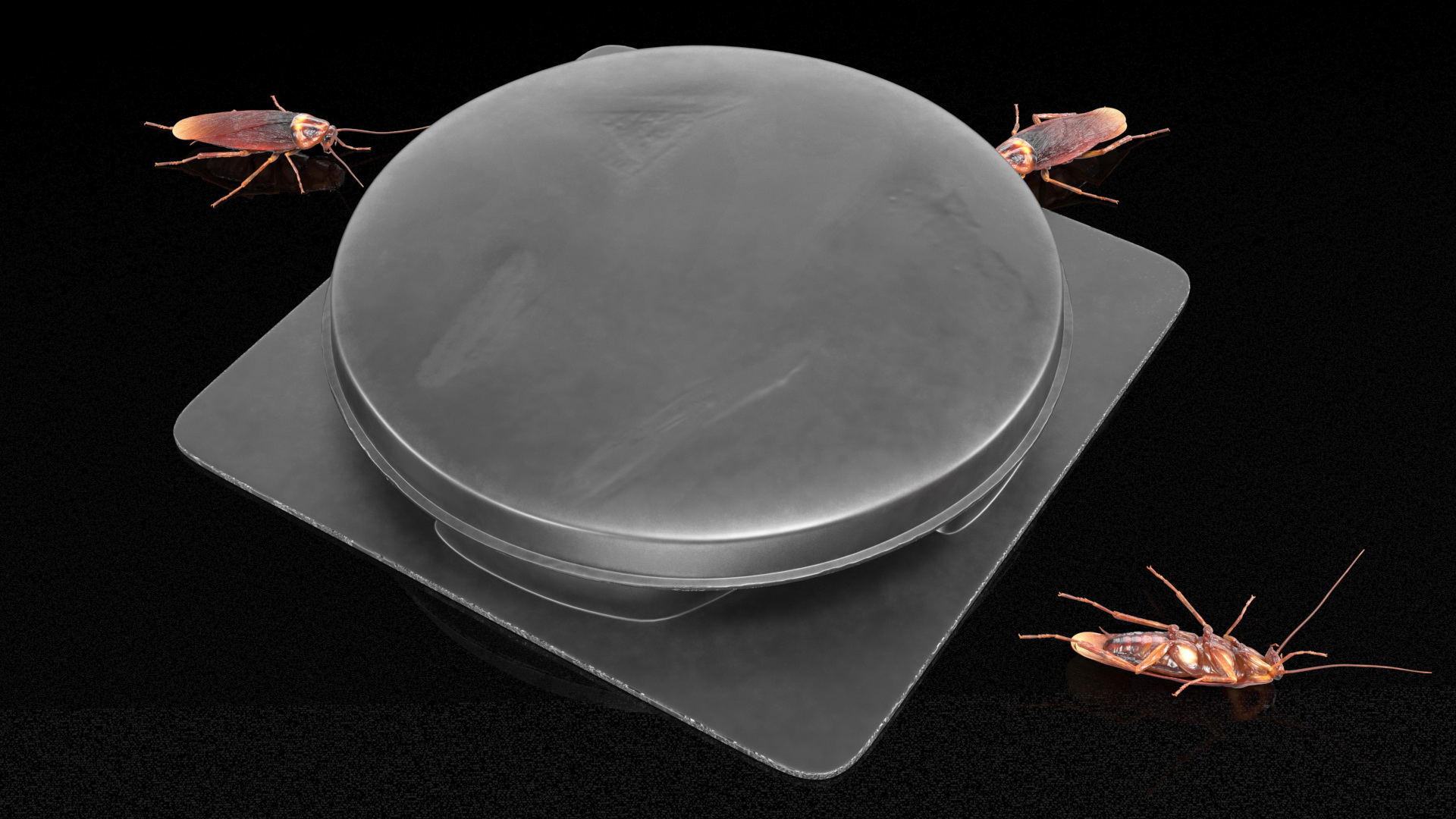 Bait Station With Cockroaches 3D model