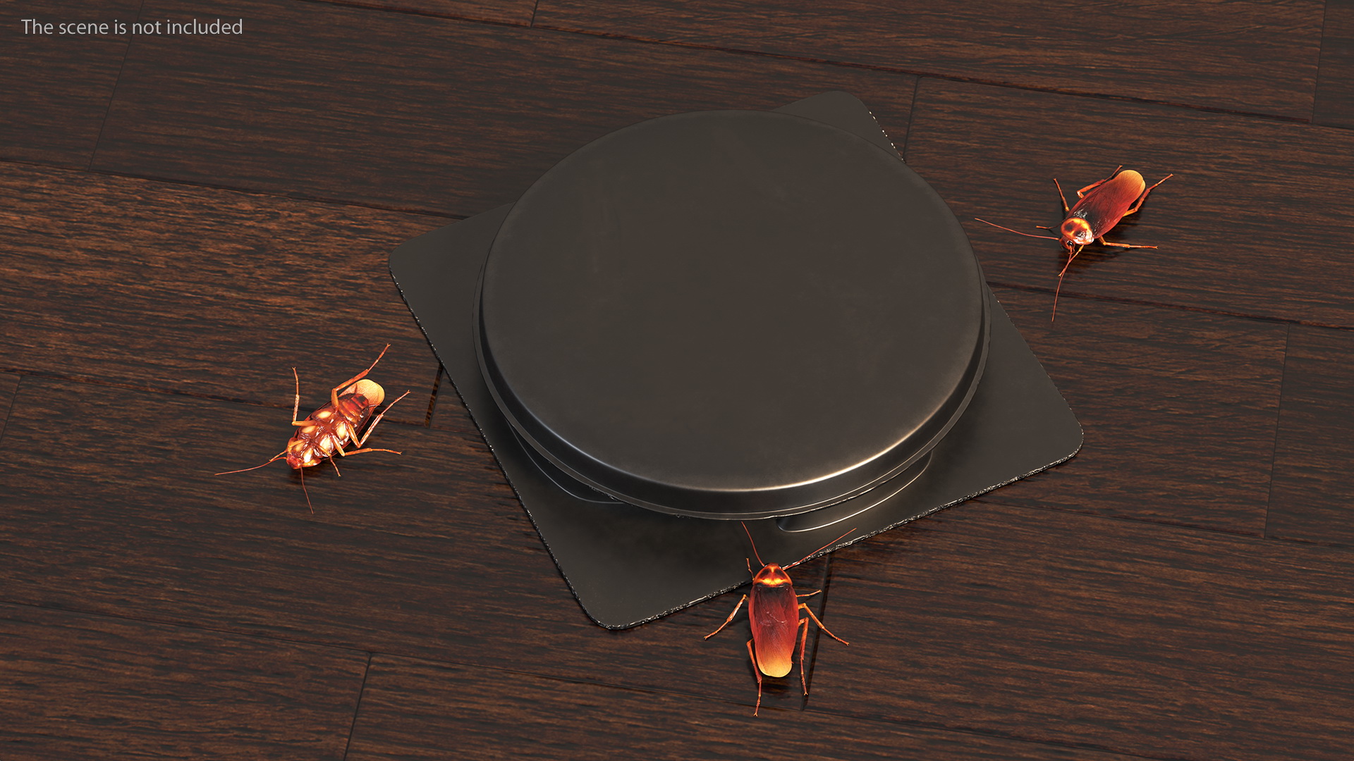 Bait Station With Cockroaches 3D model