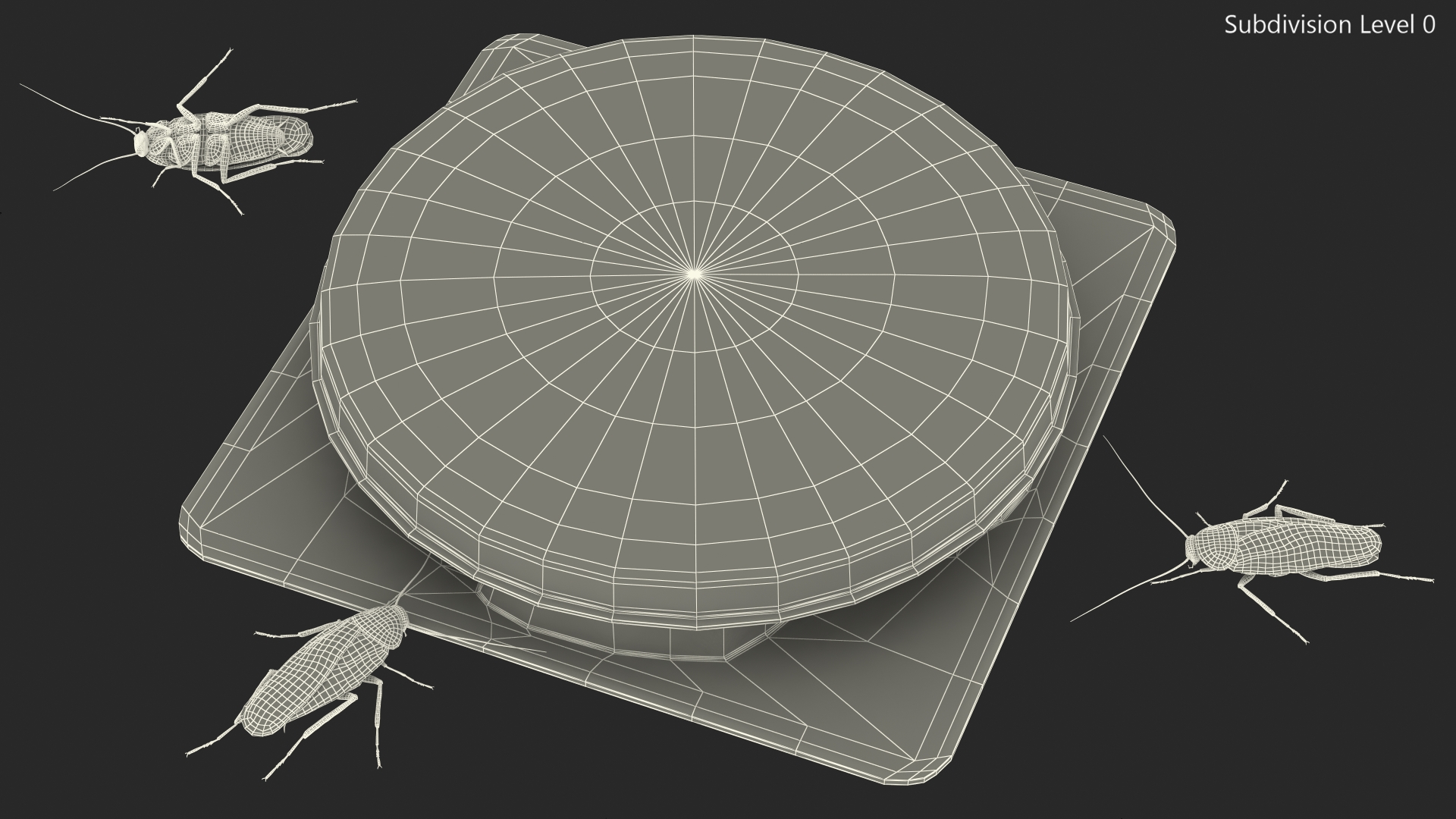 Bait Station With Cockroaches 3D model