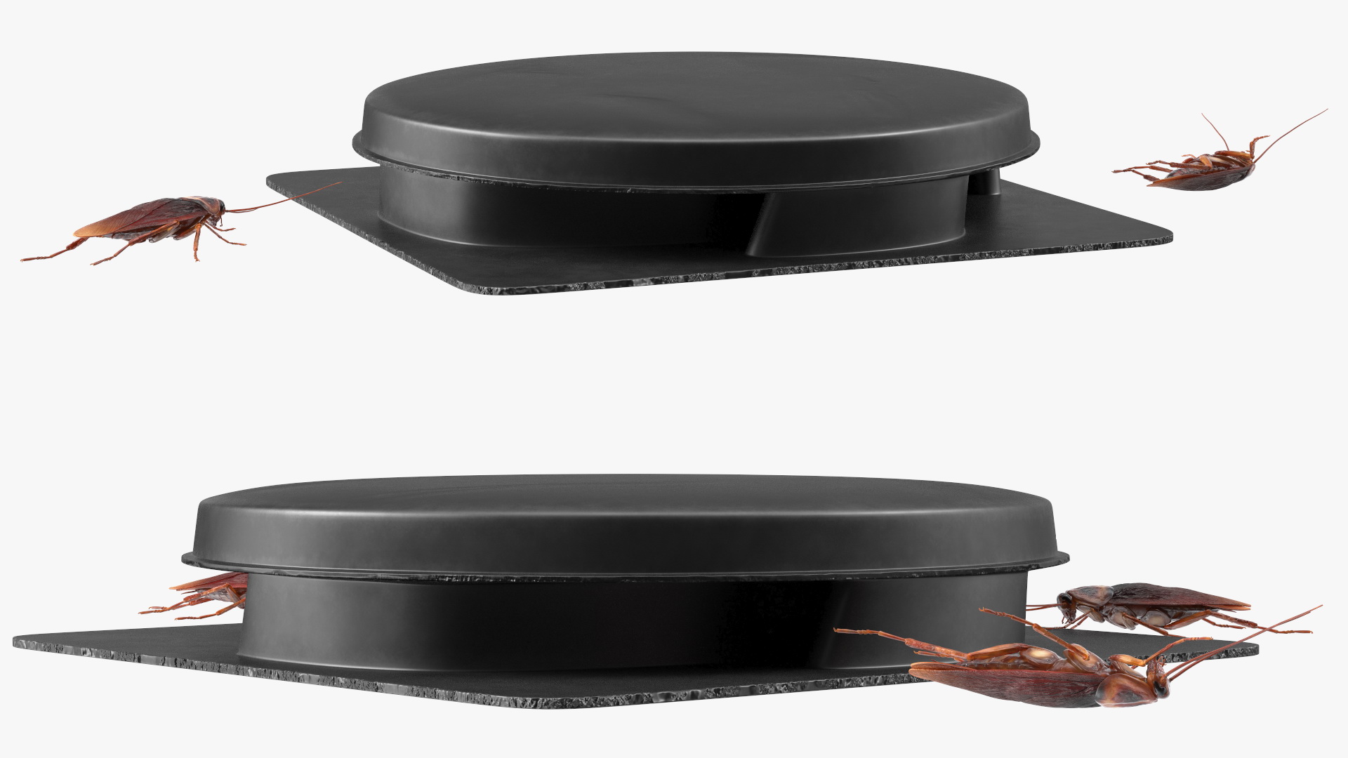 Bait Station With Cockroaches 3D model