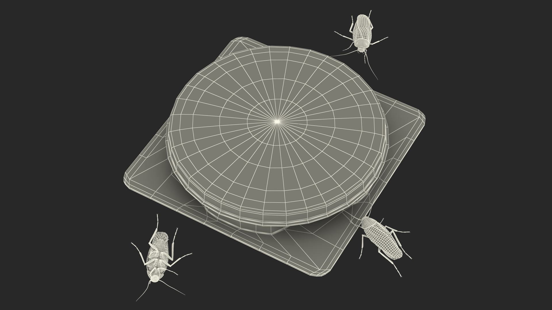 Bait Station With Cockroaches 3D model
