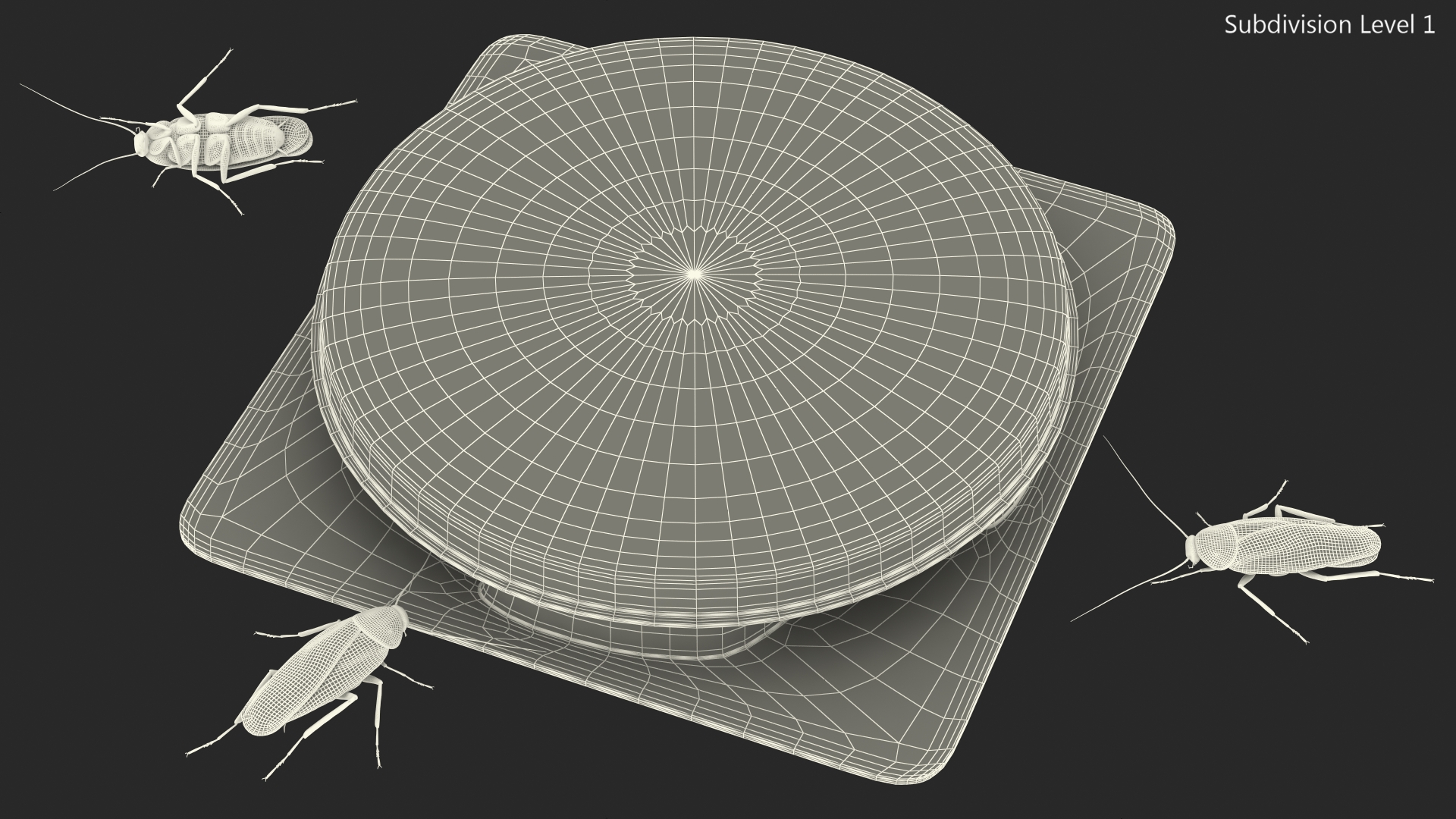 Bait Station With Cockroaches 3D model
