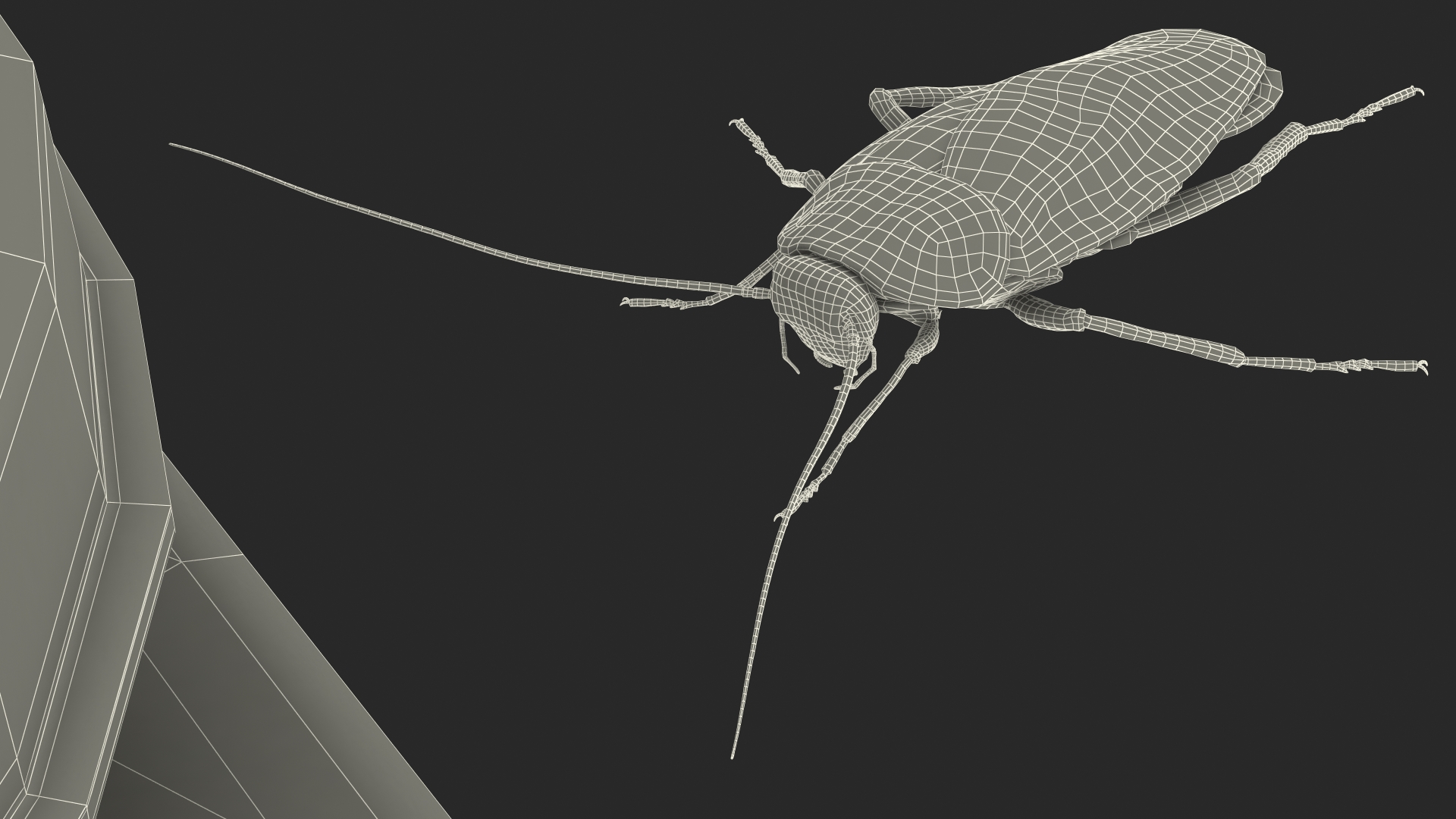 Bait Station With Cockroaches 3D model