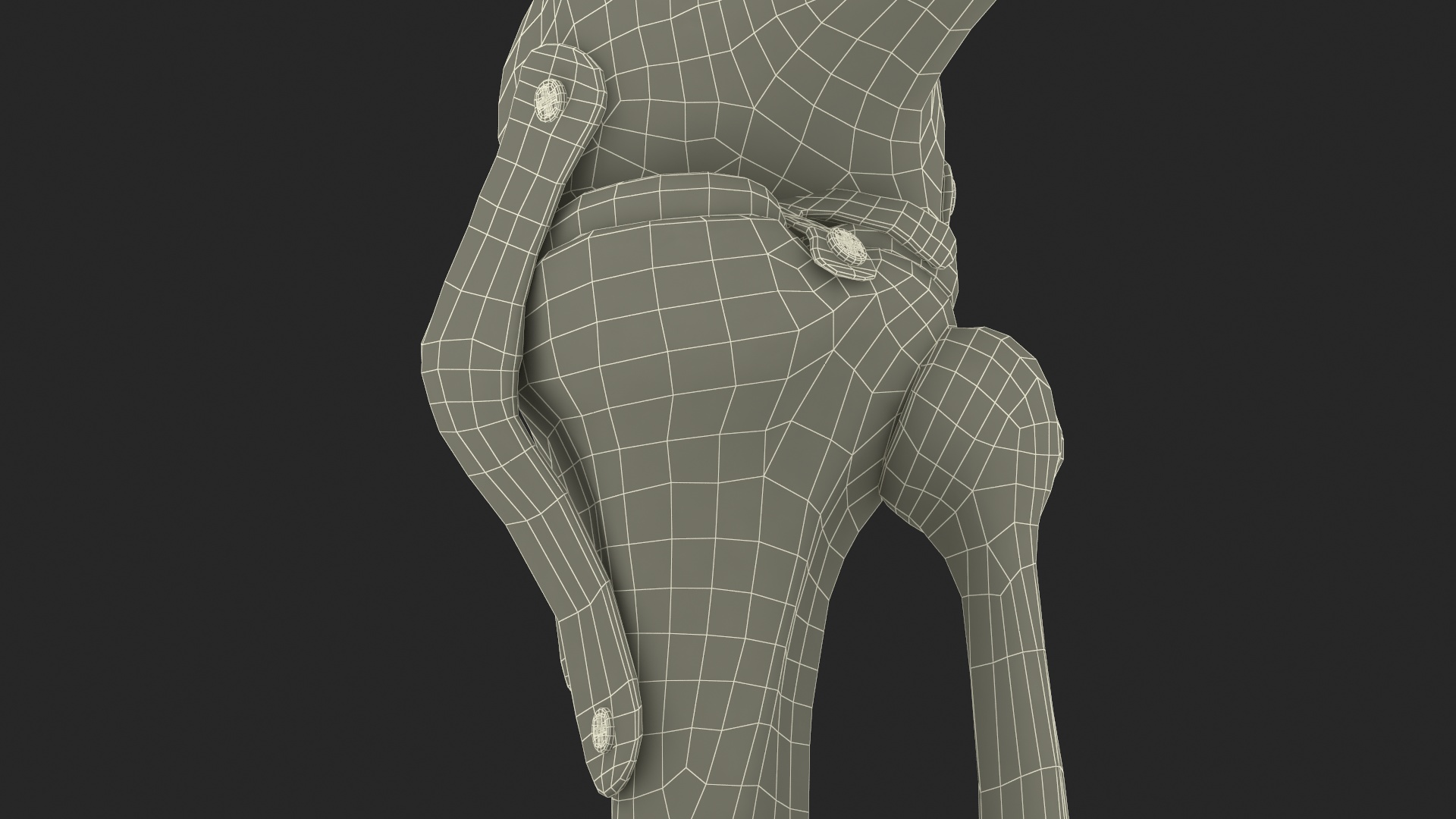 3D model Knee Joint Model in Flexed Position