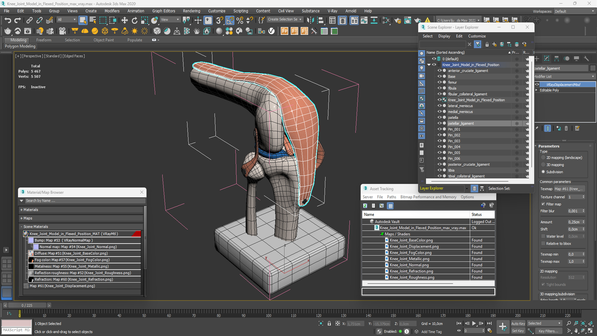 3D model Knee Joint Model in Flexed Position