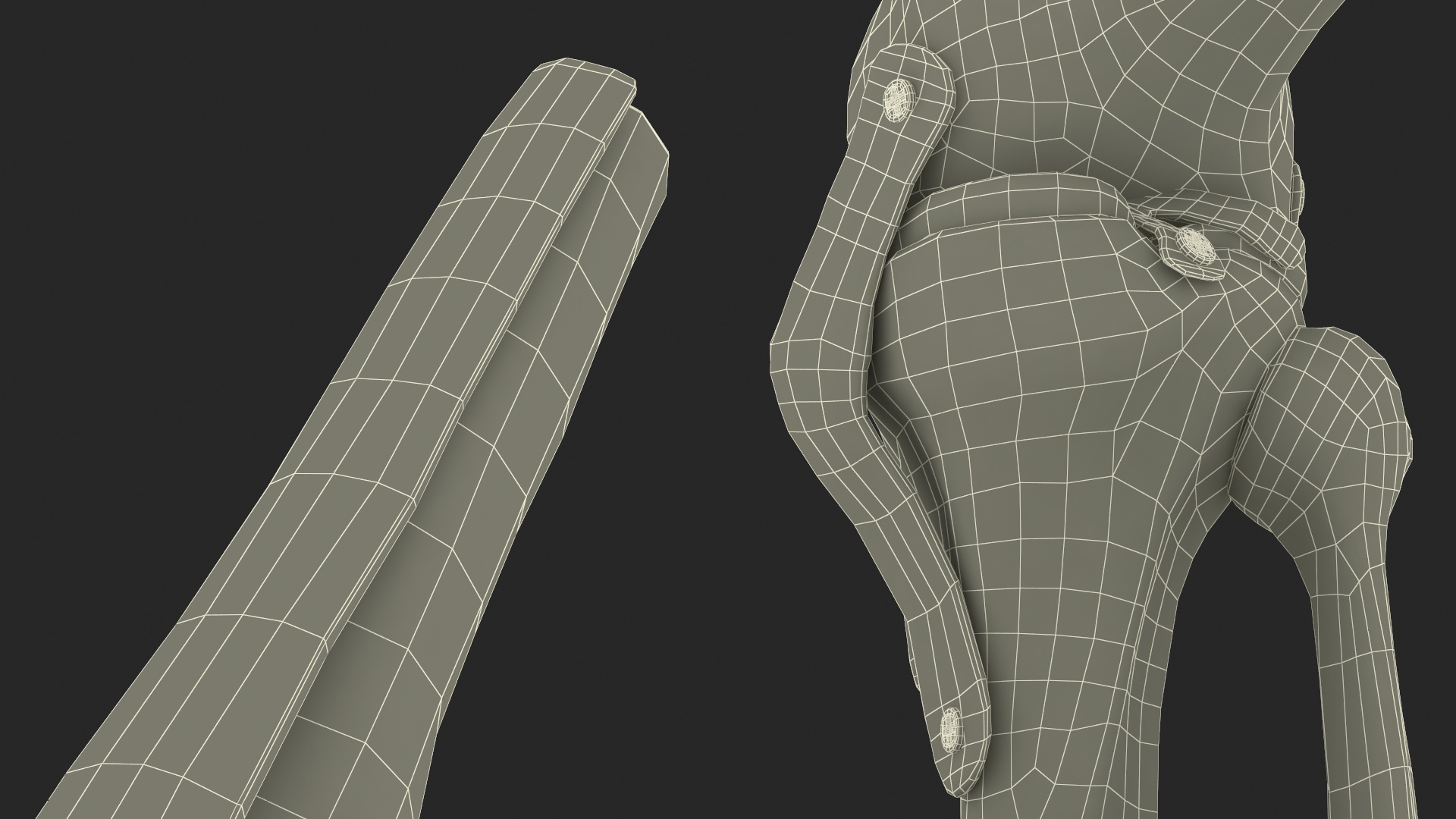 3D model Knee Joint Model in Flexed Position
