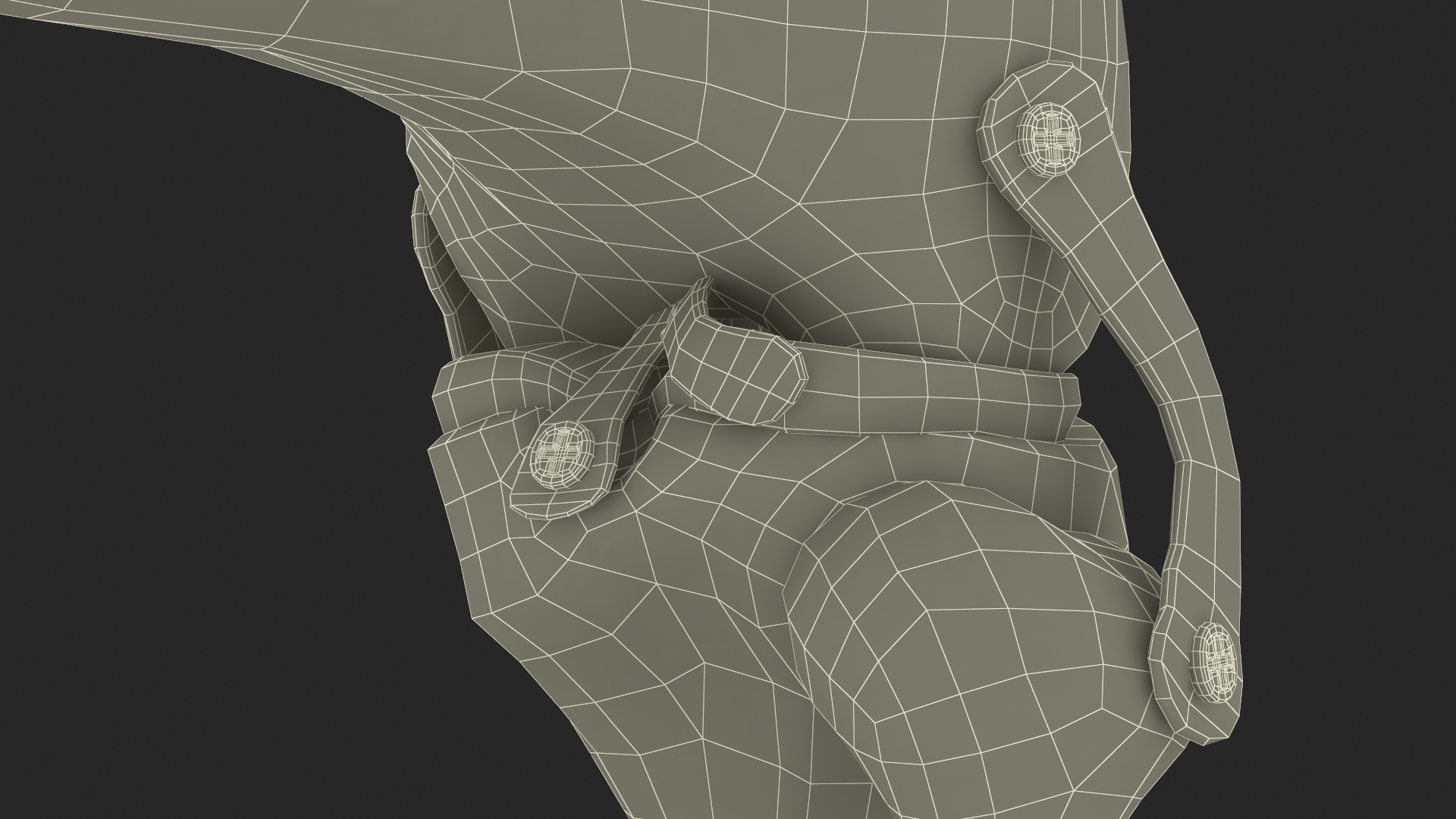 3D model Knee Joint Model in Flexed Position