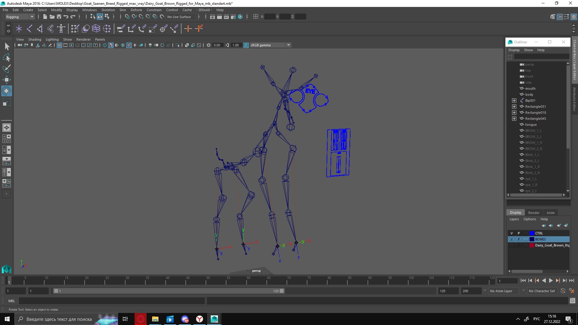 3D Goat Saanen Breed Rigged for Maya model