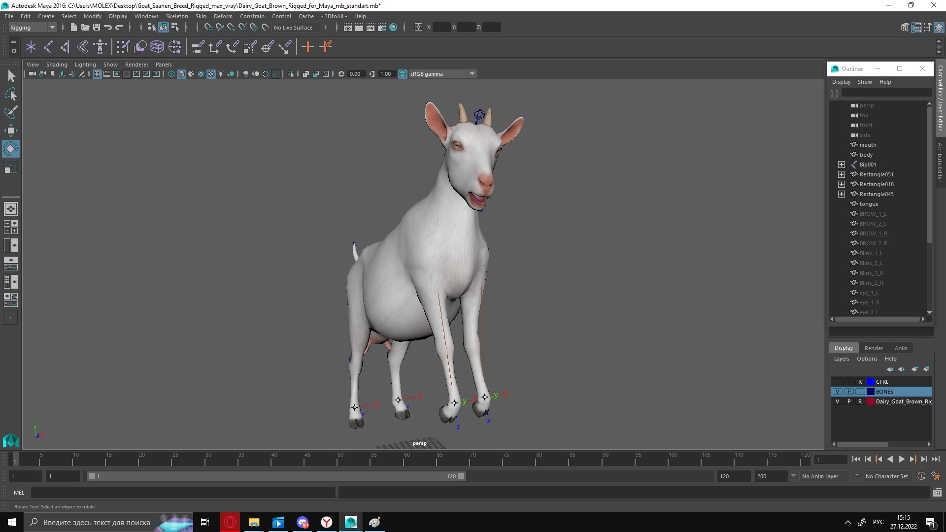 3D Goat Saanen Breed Rigged for Maya model