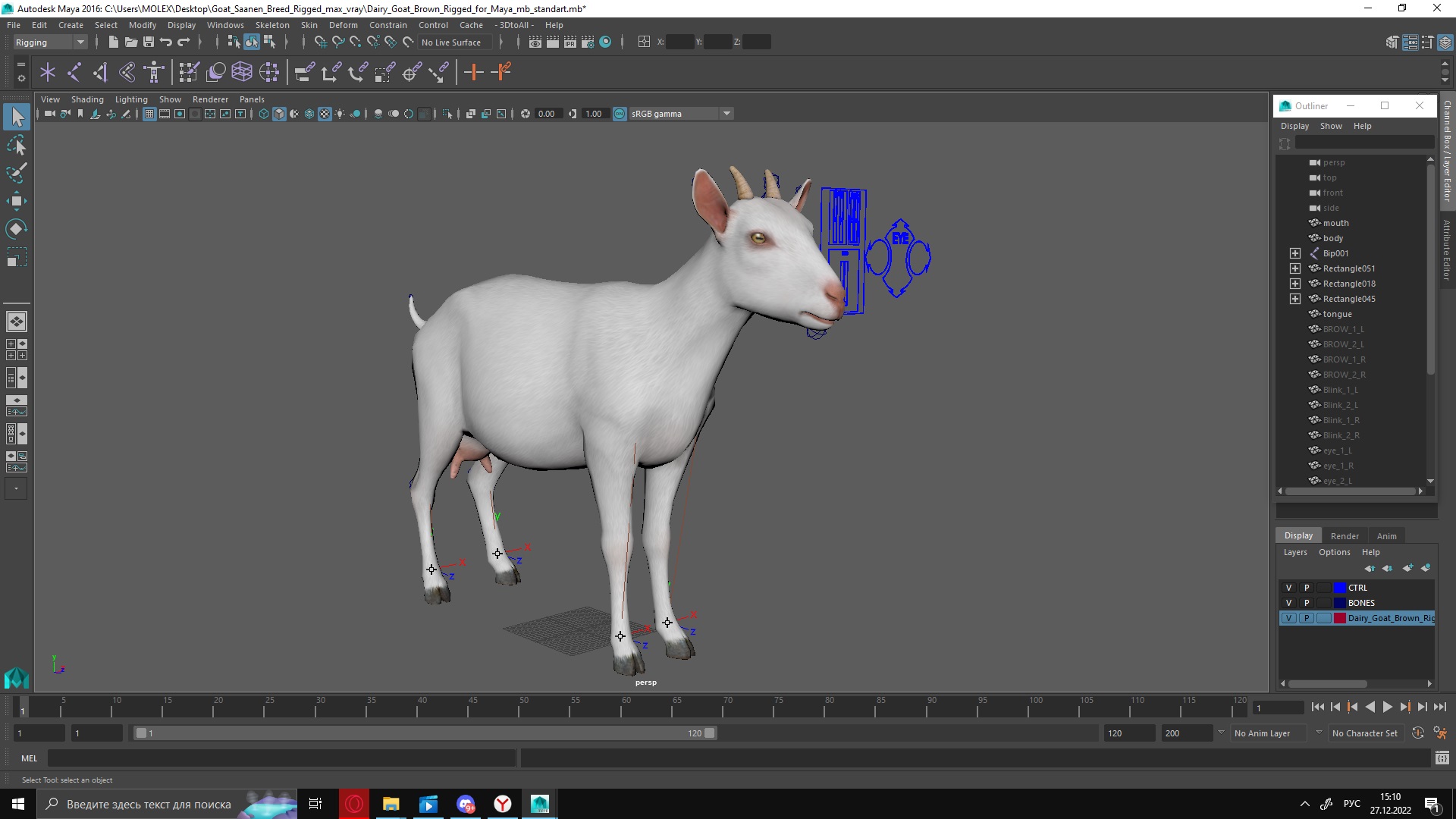 3D Goat Saanen Breed Rigged for Maya model