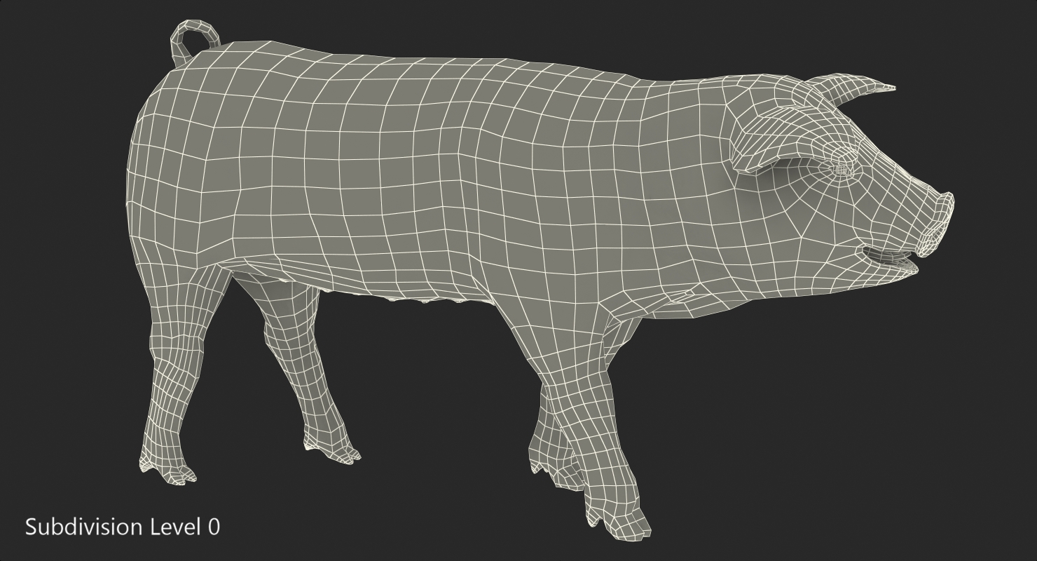 3D Hampshire Pig Piglet Walking Pose model