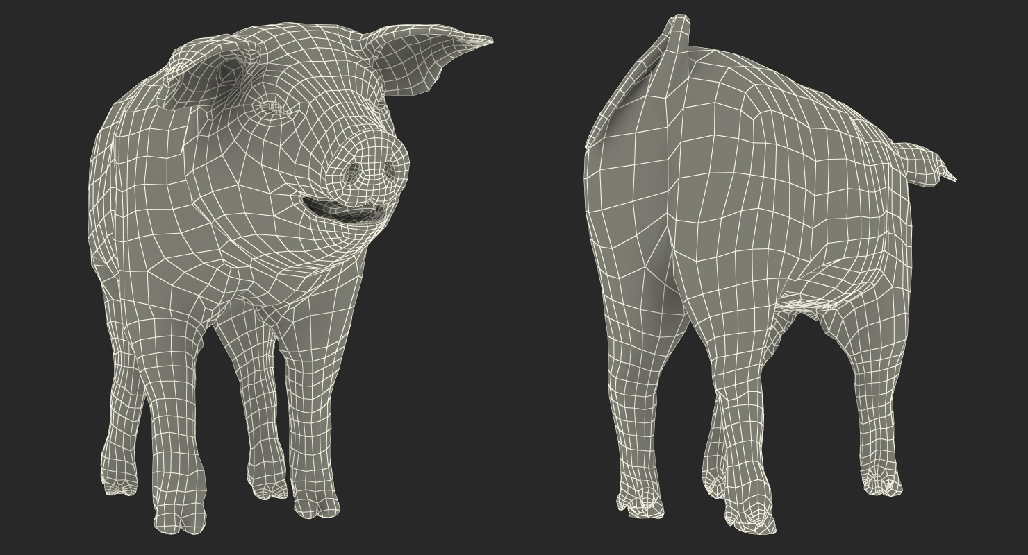 3D Hampshire Pig Piglet Walking Pose model