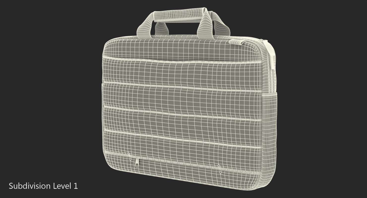 Slim Laptop Brief 3D