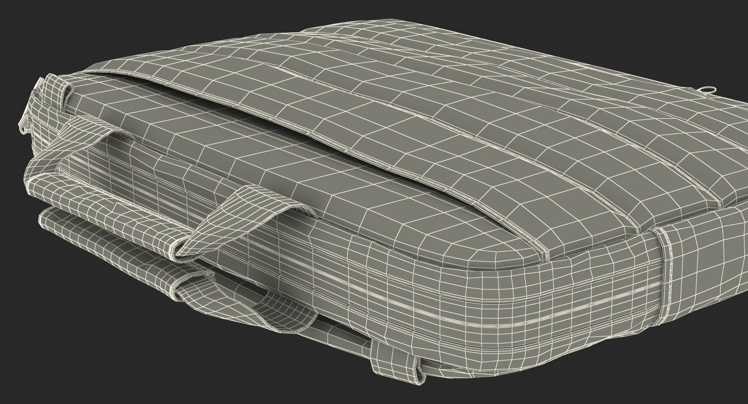 Slim Laptop Brief 3D