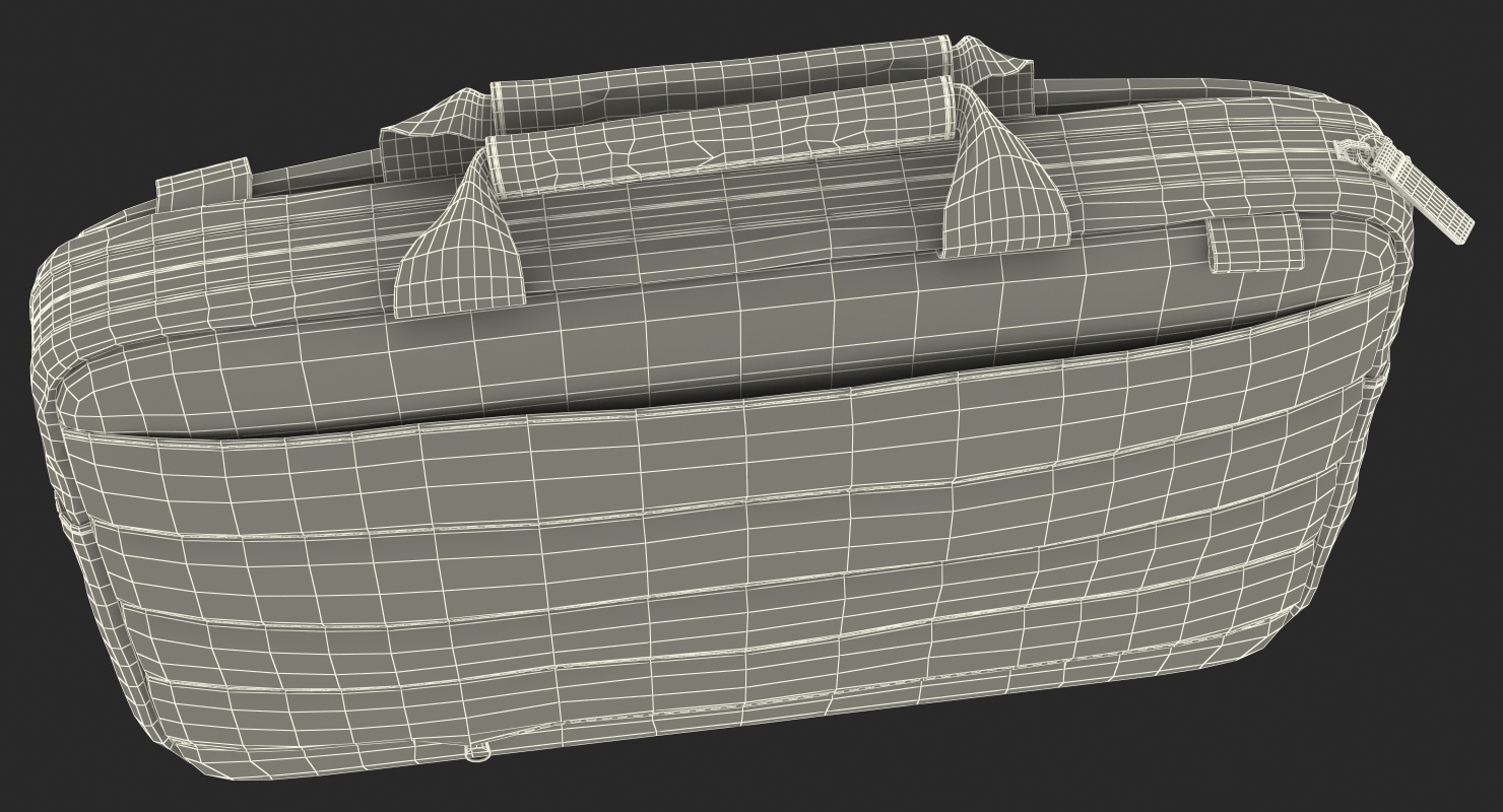 Slim Laptop Brief 3D
