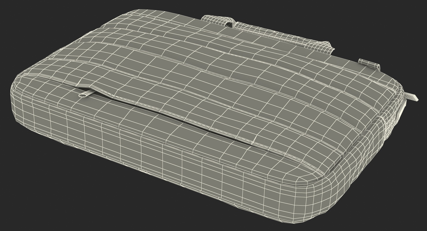 Slim Laptop Brief 3D