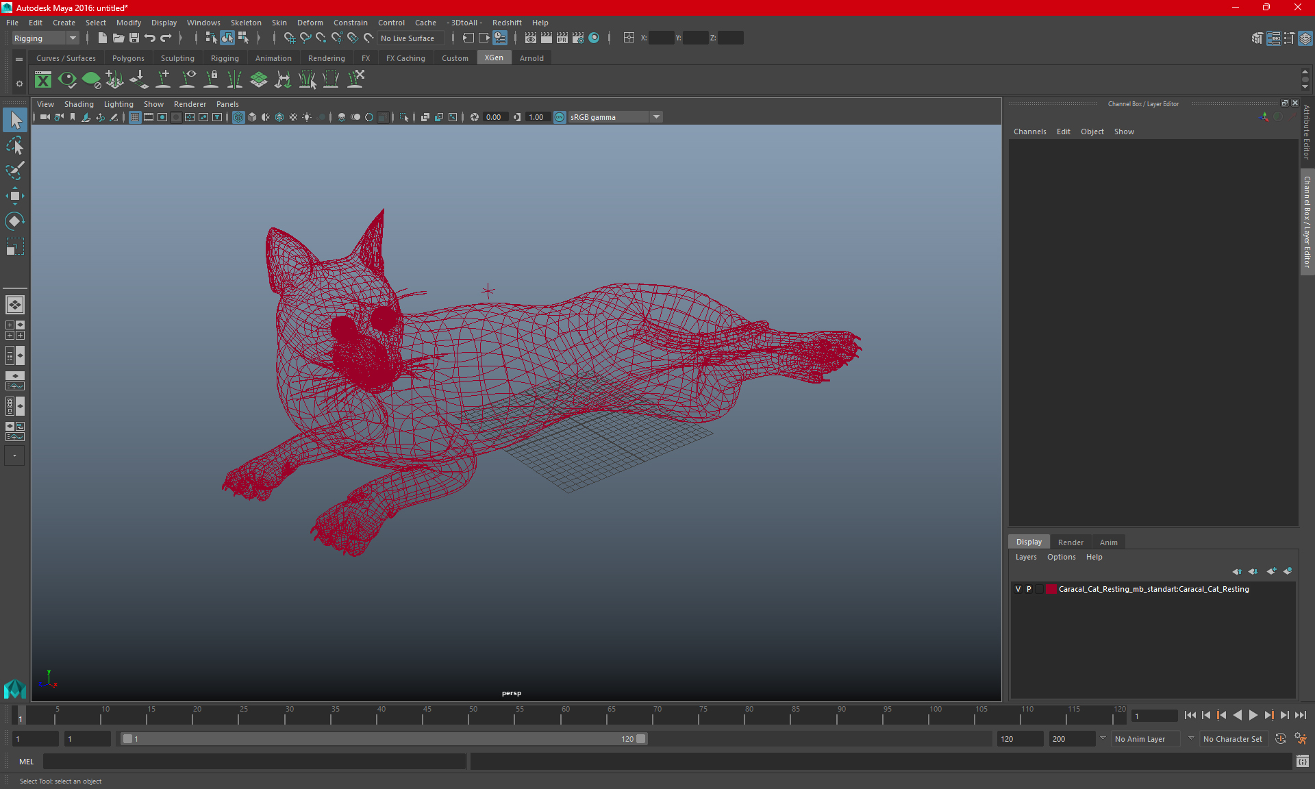 Caracal Cat Resting 3D model