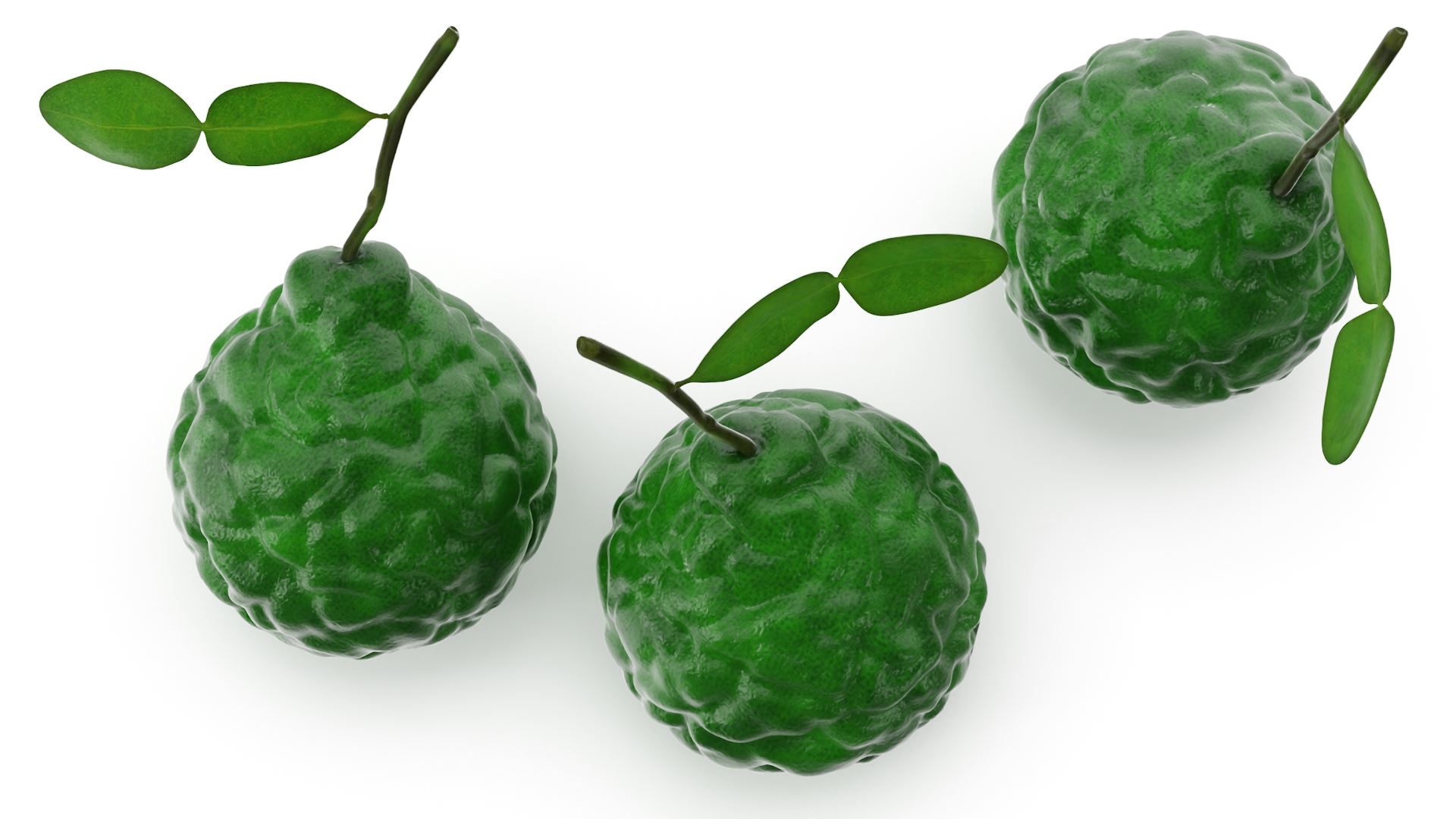 Bergamot Fruit with Leaf 3D model