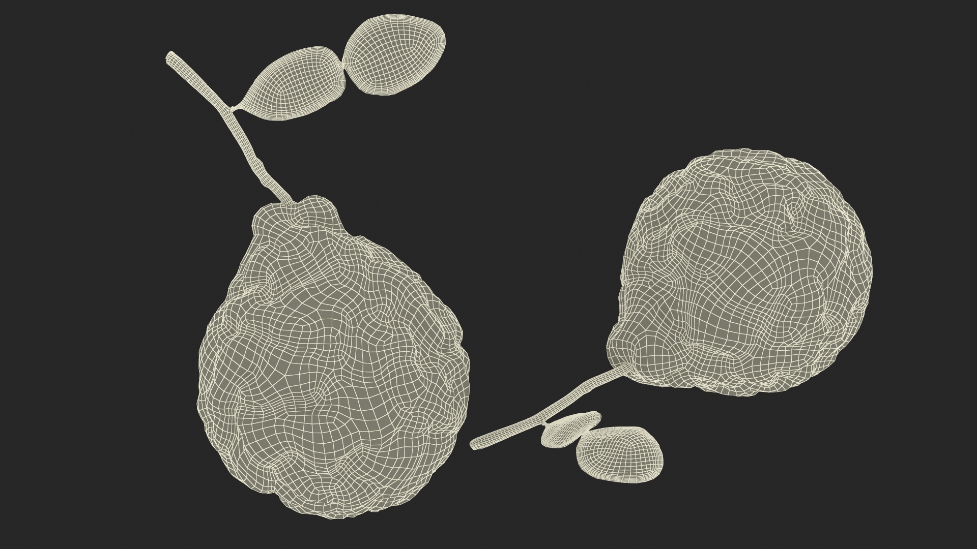 Bergamot Fruit with Leaf 3D model