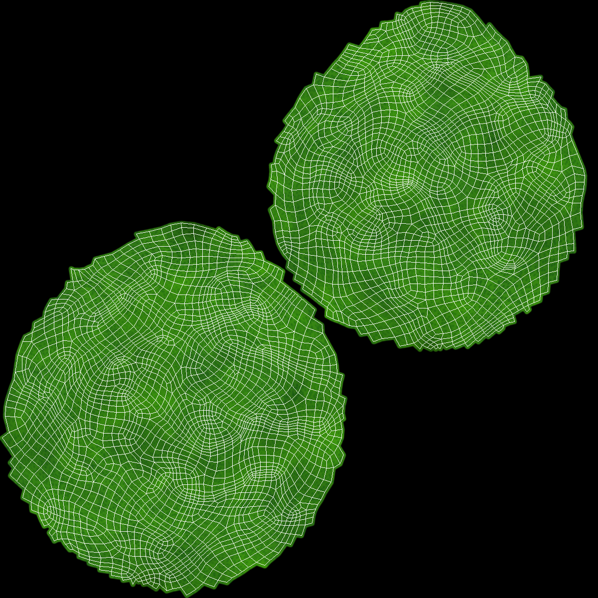 Bergamot Fruit with Leaf 3D model