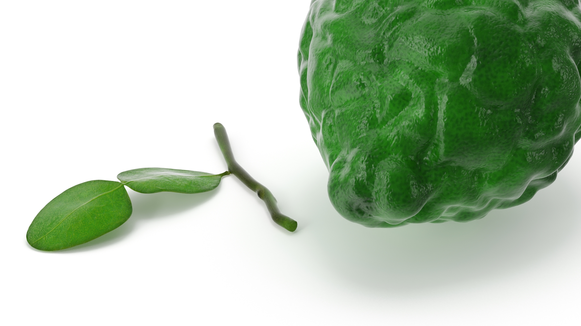 Bergamot Fruit with Leaf 3D model
