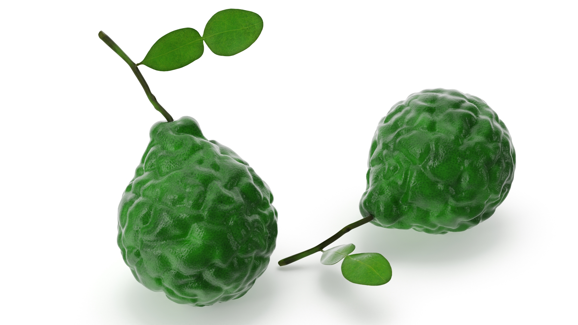 Bergamot Fruit with Leaf 3D model