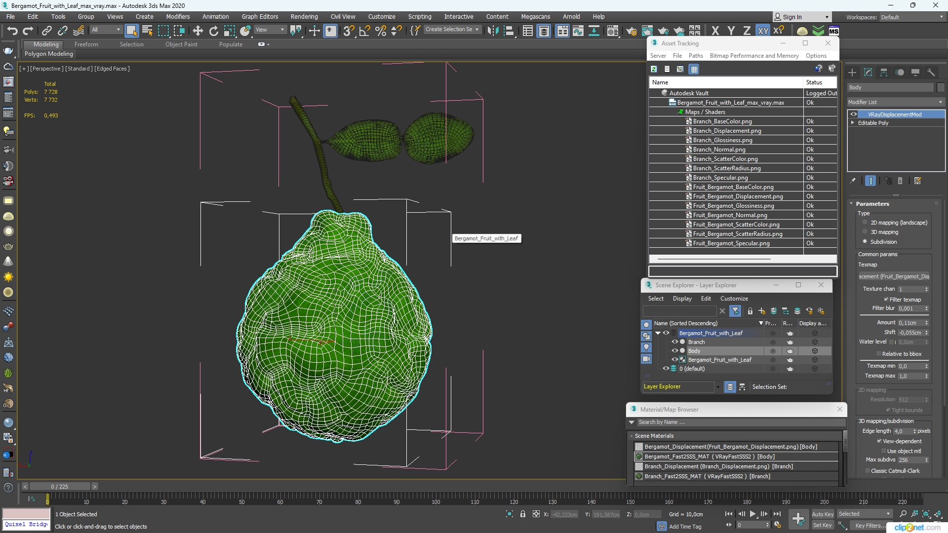 Bergamot Fruit with Leaf 3D model