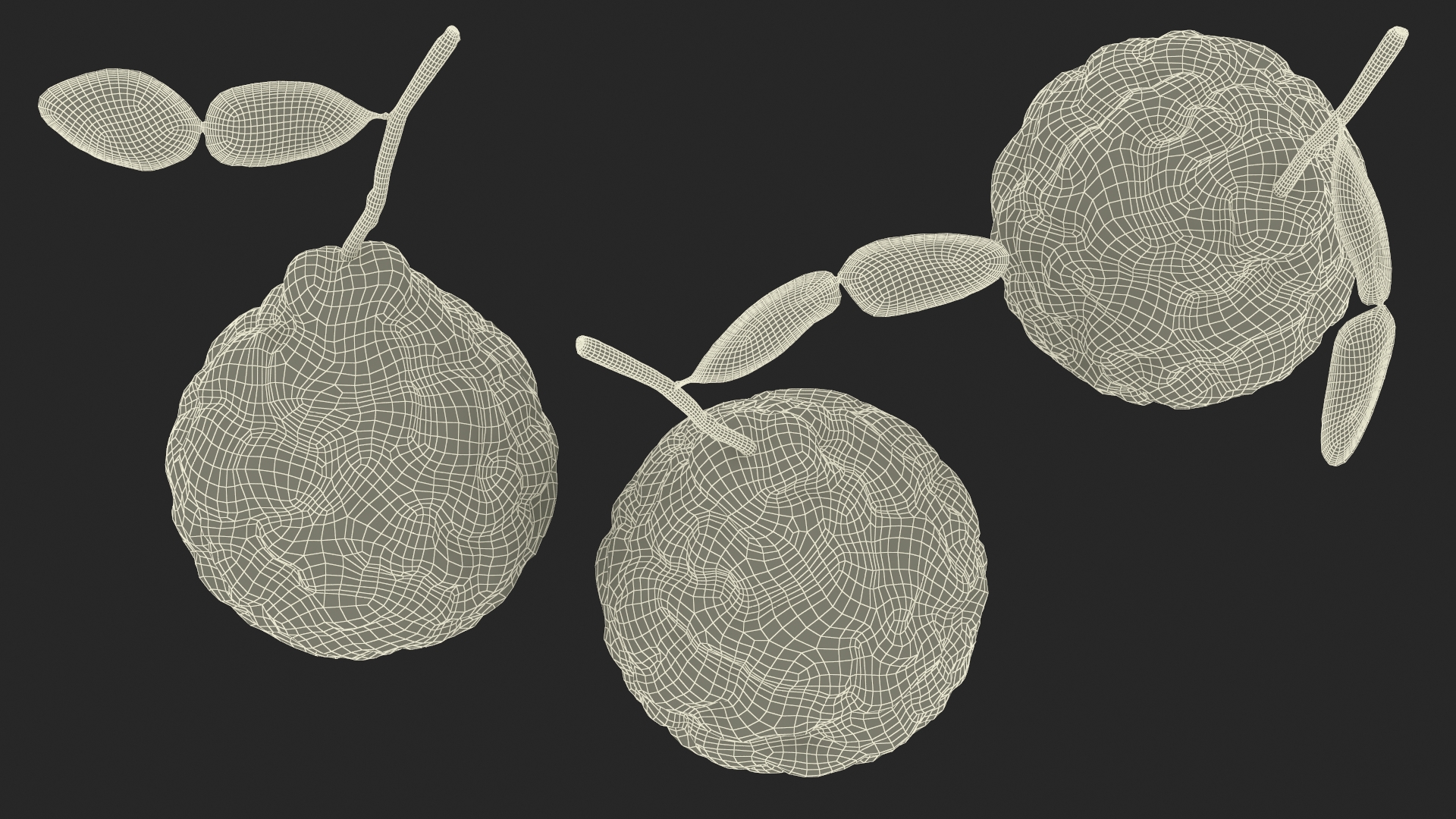 Bergamot Fruit with Leaf 3D model