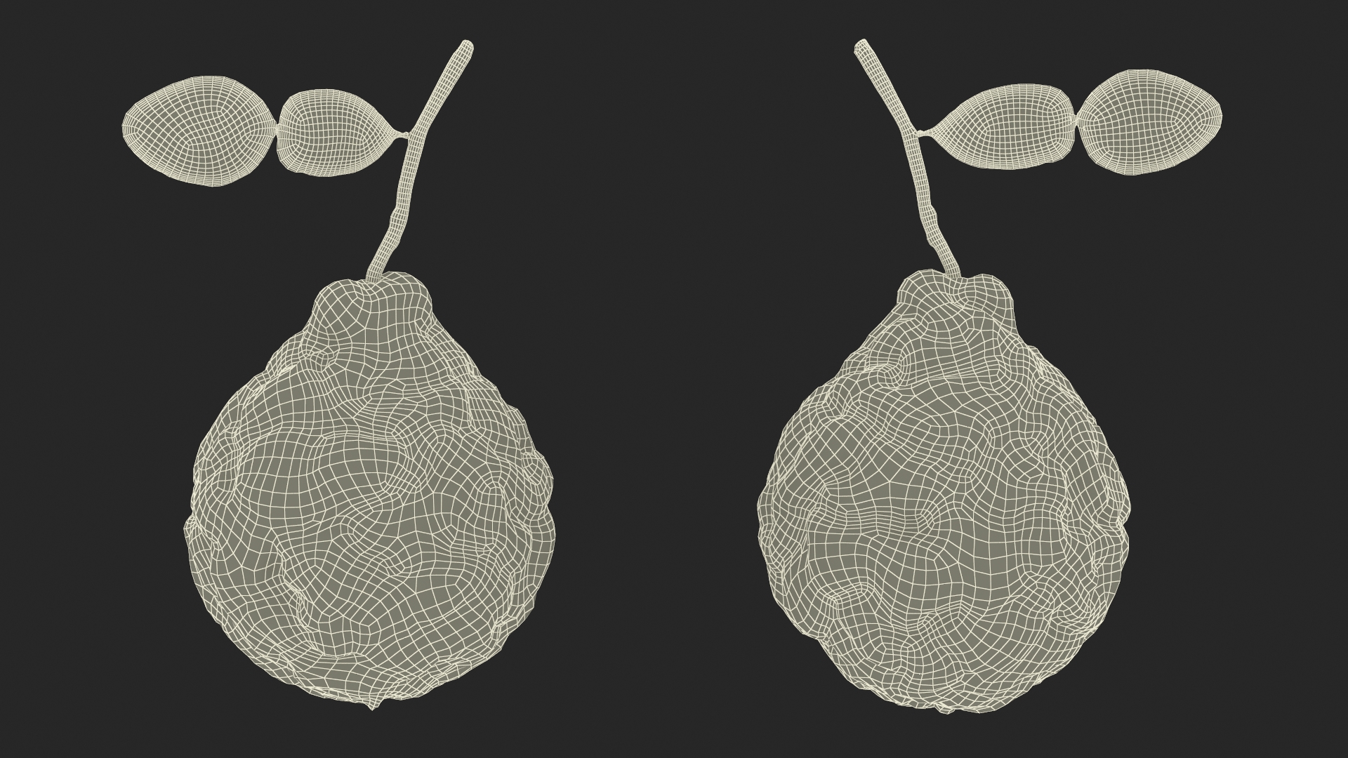 Bergamot Fruit with Leaf 3D model