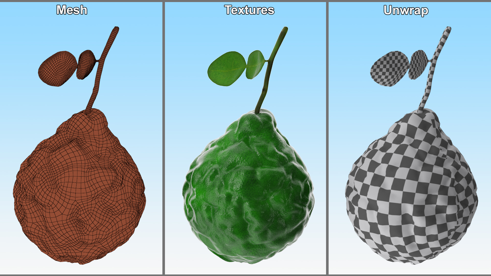 Bergamot Fruit with Leaf 3D model