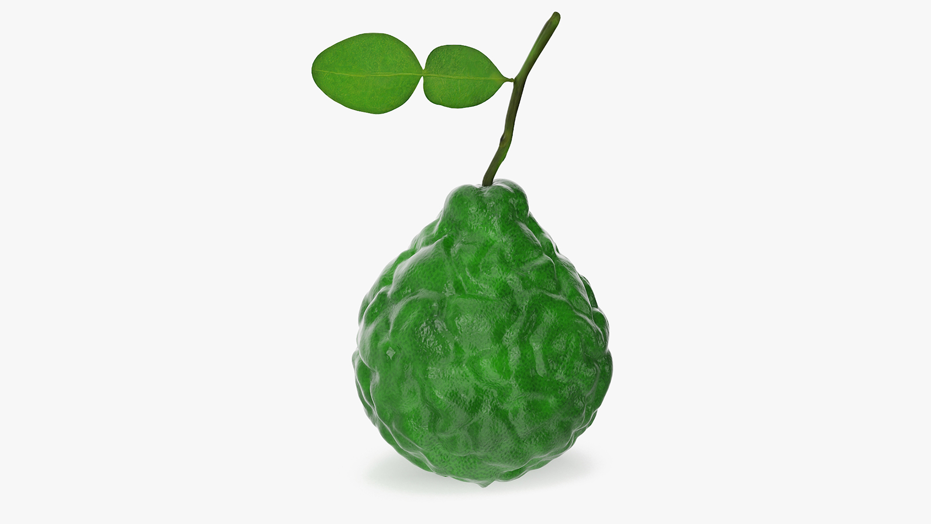 Bergamot Fruit with Leaf 3D model
