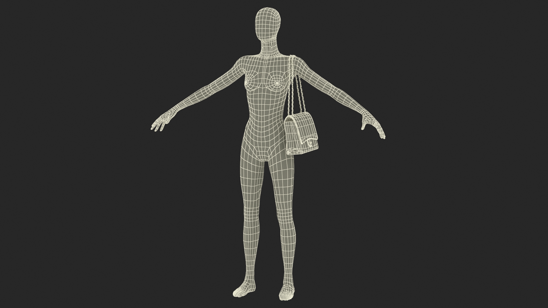 Leather Classic Womens Handbag on Manequin 3D