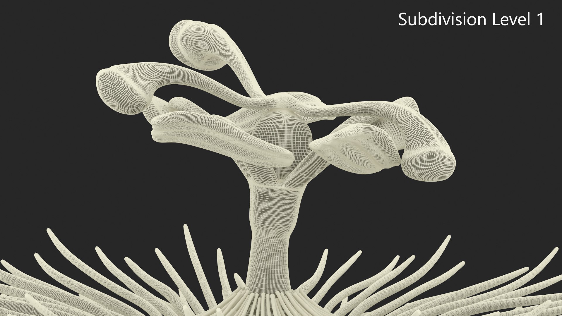 Passion Flower 3D model