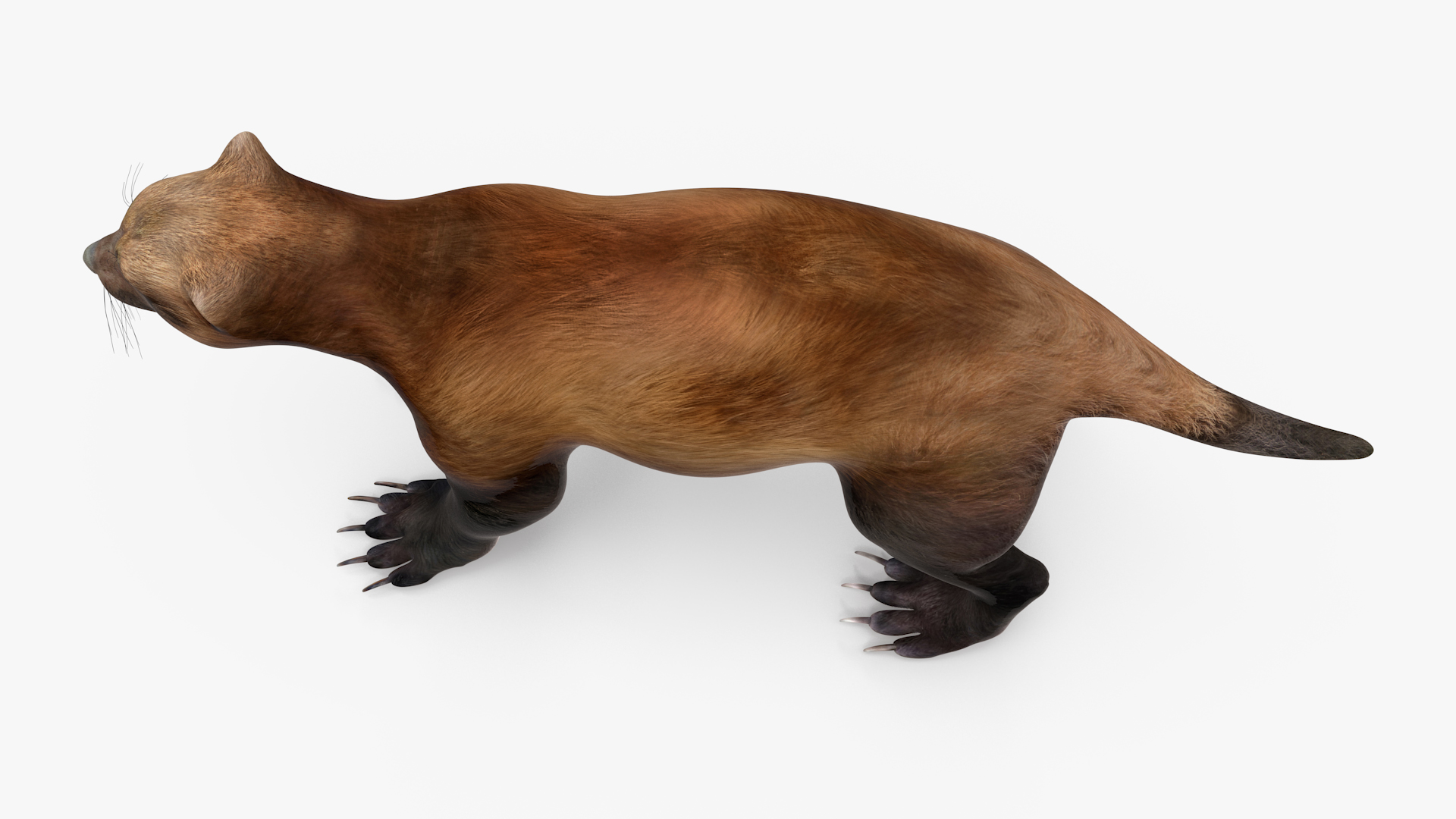 3D model Wolverine Dark Color