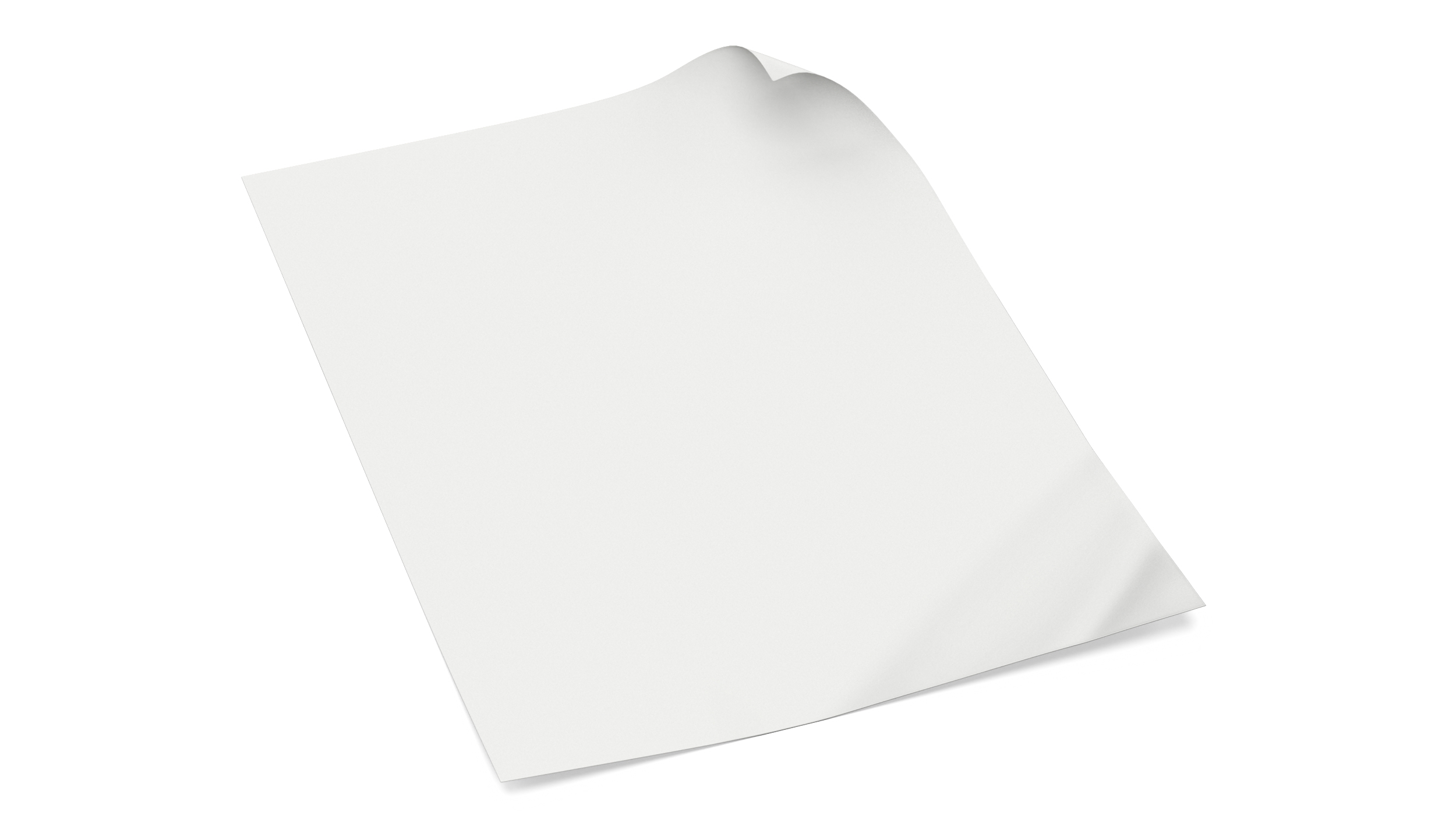 3D Empty Paper with Curled Corners