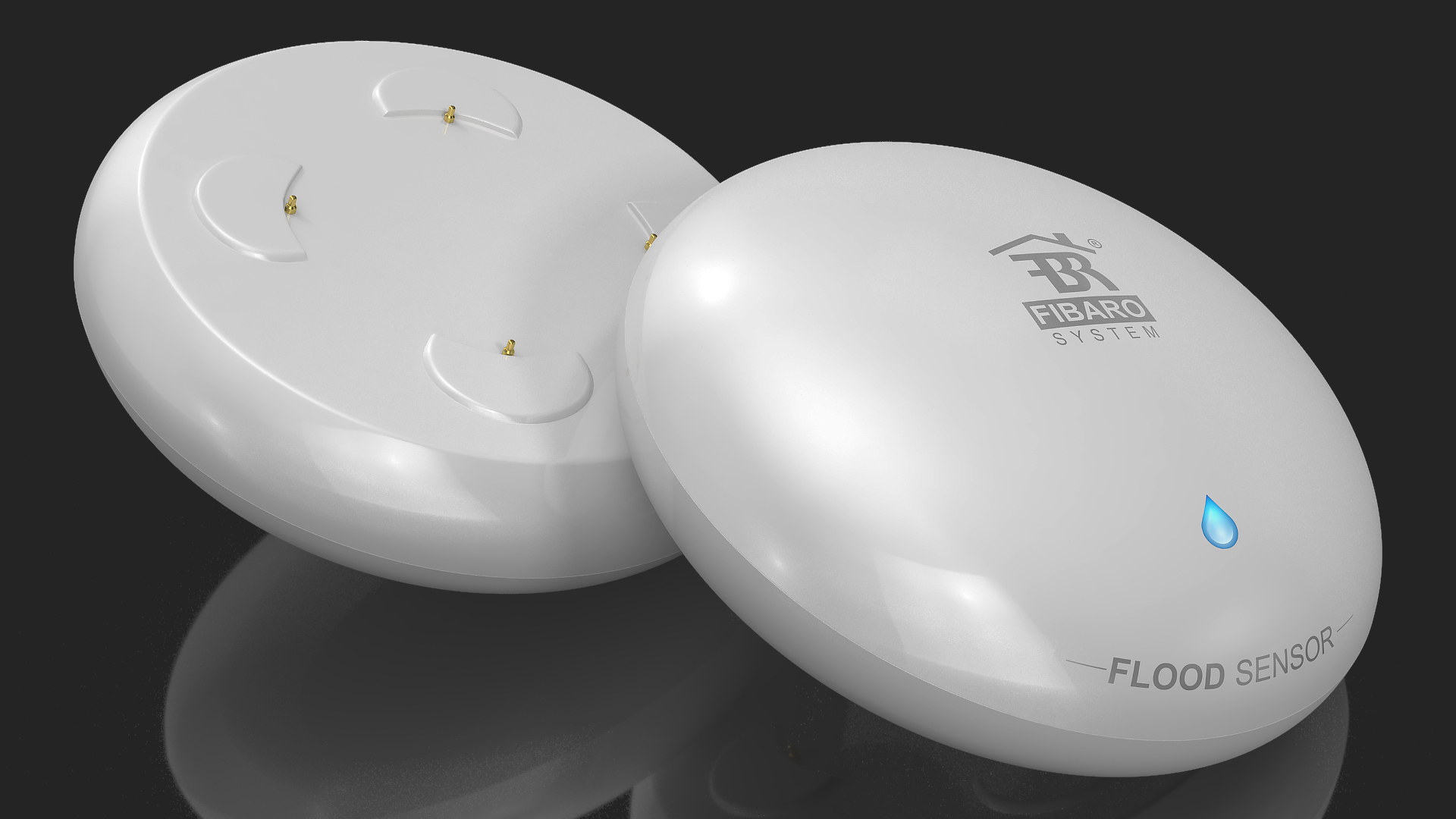Fibaro Flood Sensor 3D model