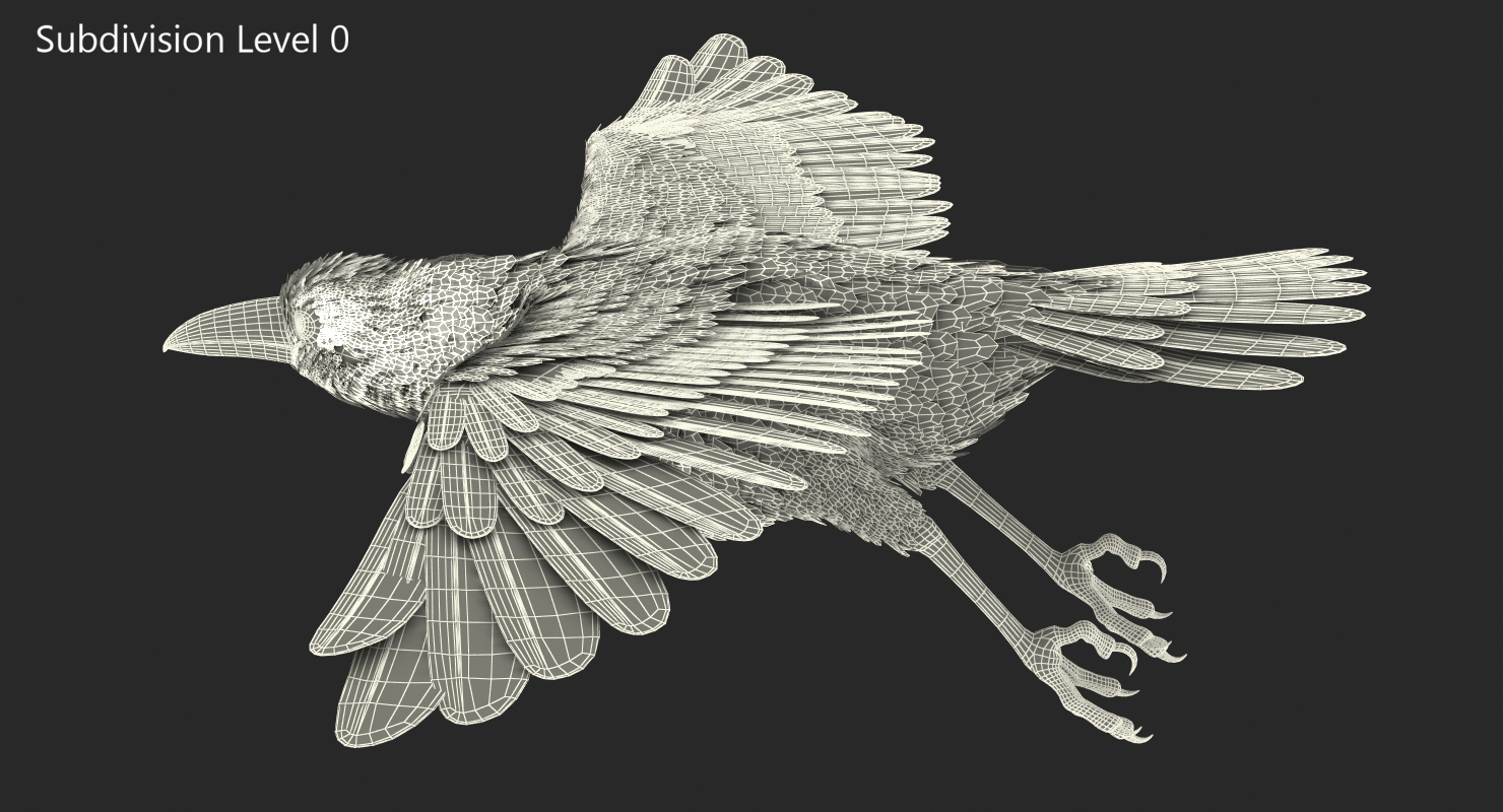 Raven Flying 3D