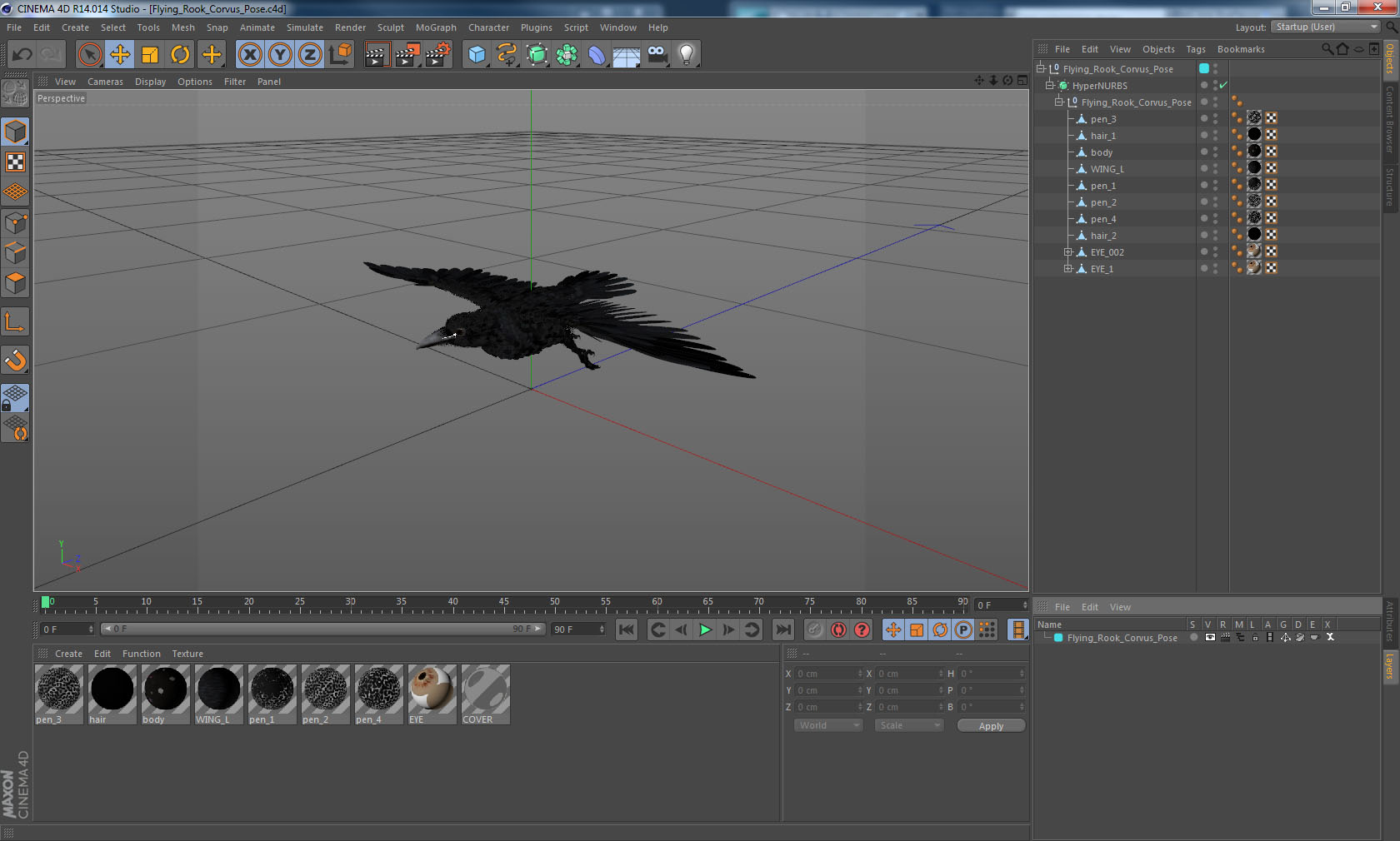 Raven Flying 3D