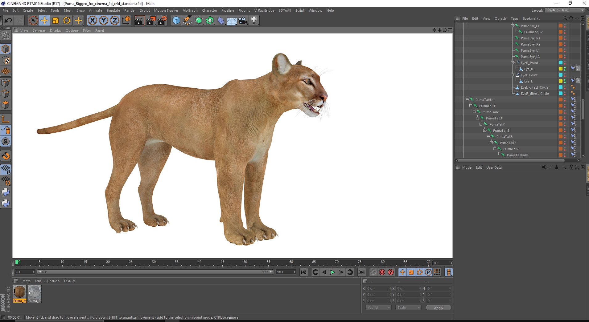 3D model Puma Rigged for Cinema 4D